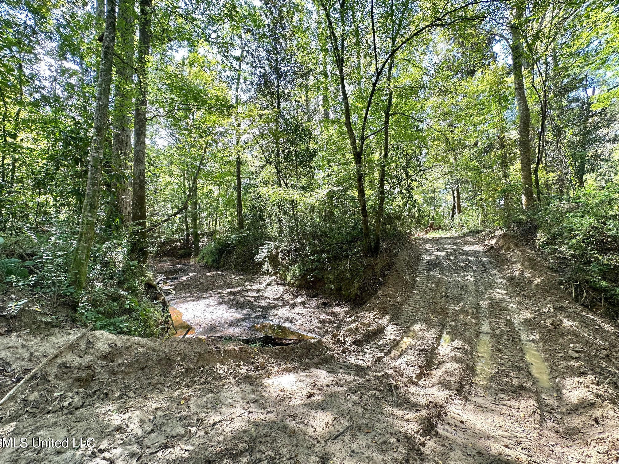 0 Highway 469 Property Photo 18