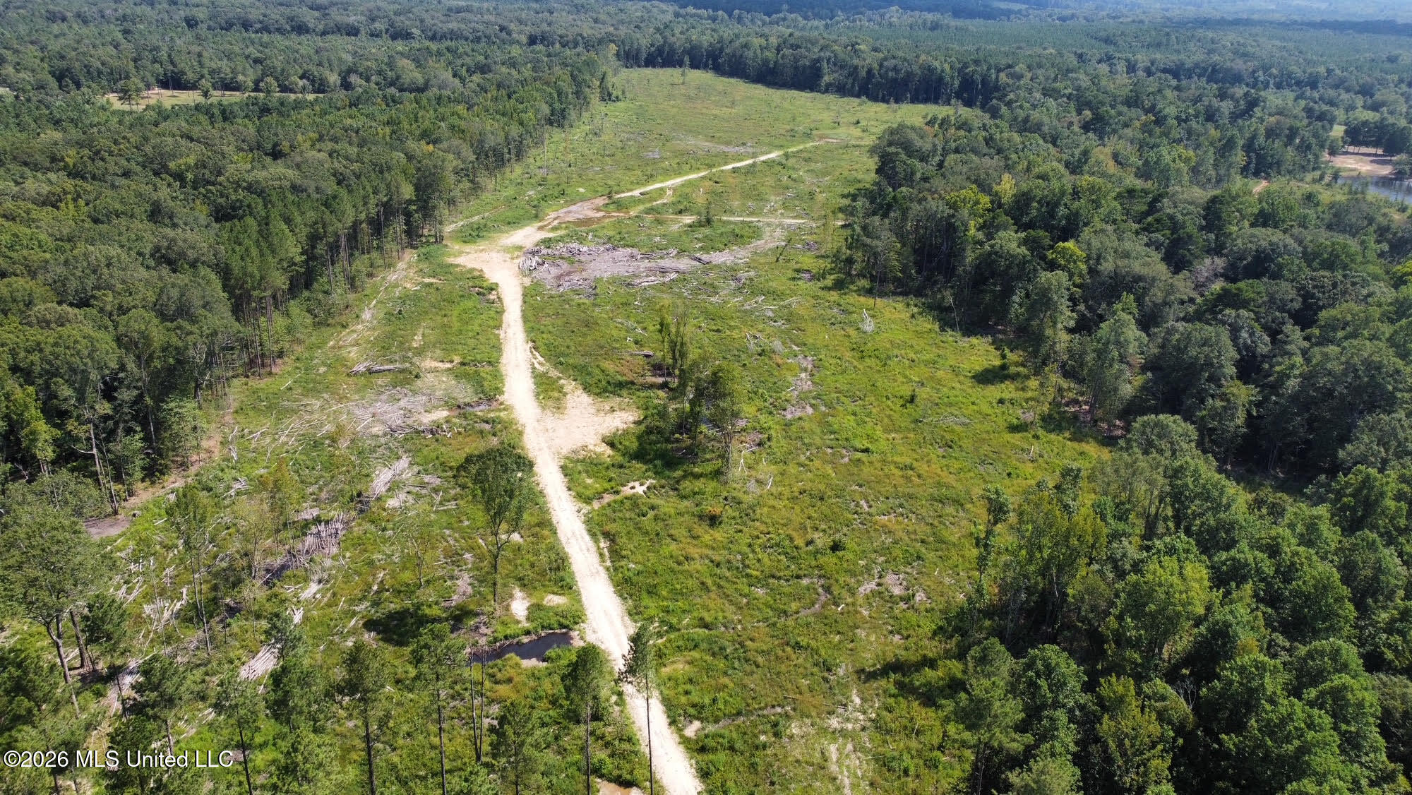 0 Highway 469 Property Photo 18