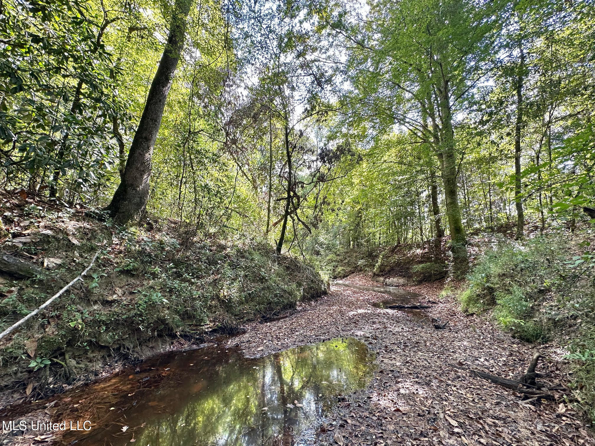 0 Highway 469 Property Photo 19