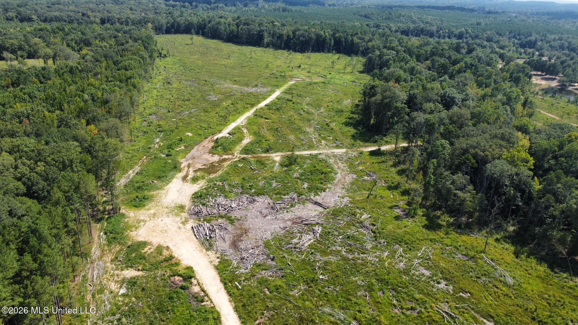 0 Highway 469 Property Photo 19