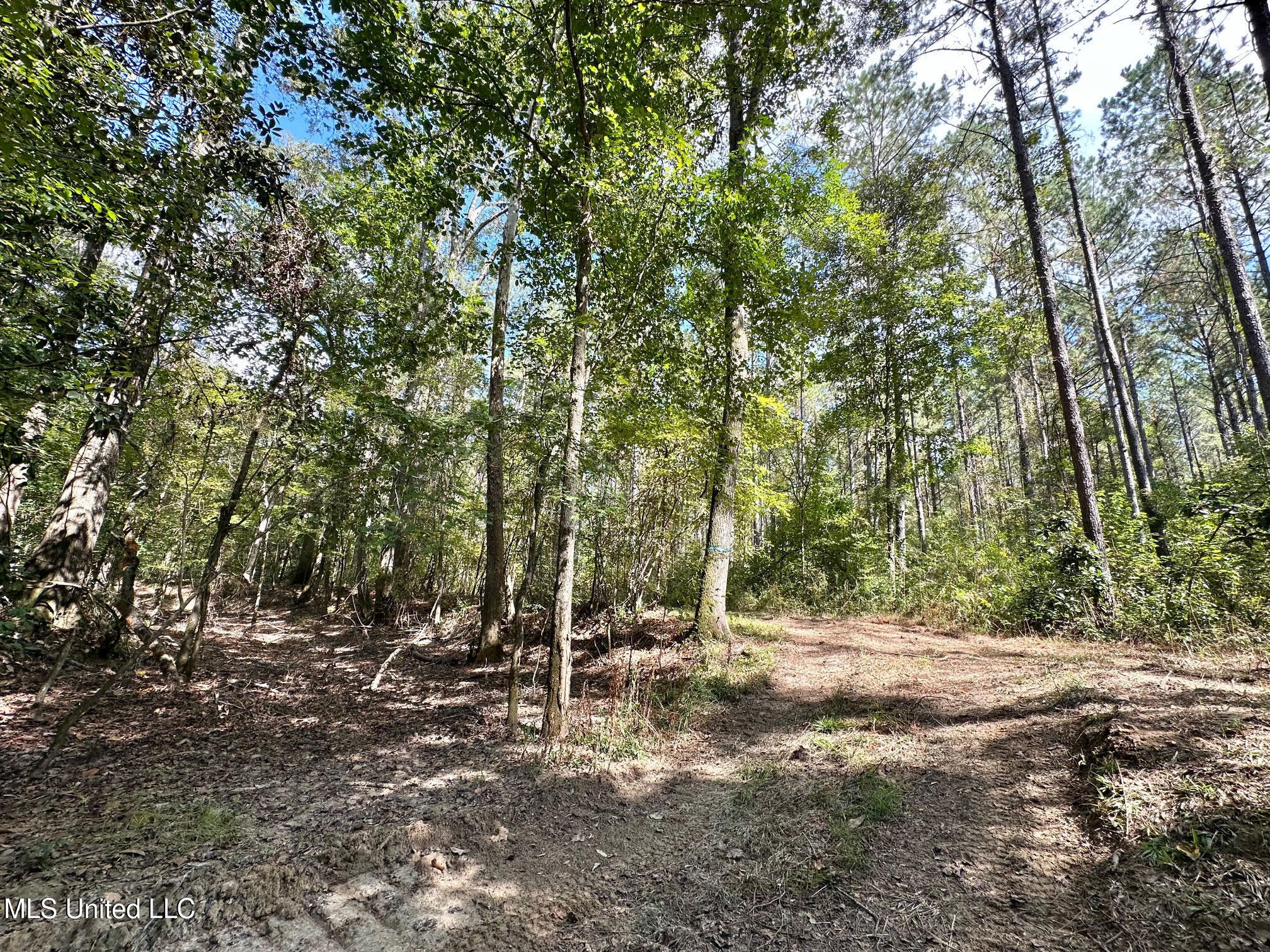 0 Highway 469 Property Photo 20