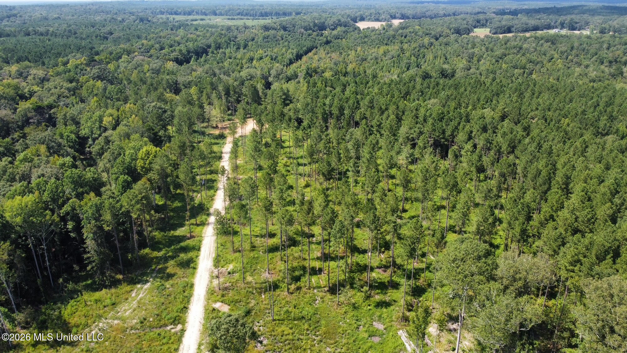 0 Highway 469 Property Photo 20