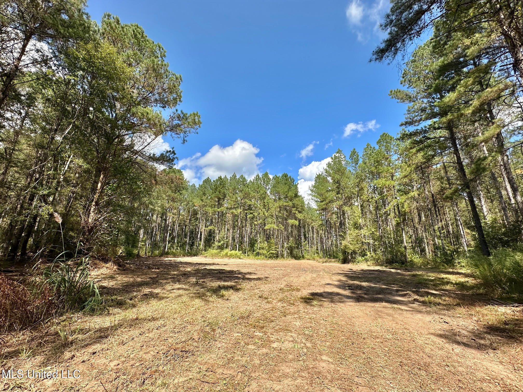 0 Highway 469 Property Photo 22