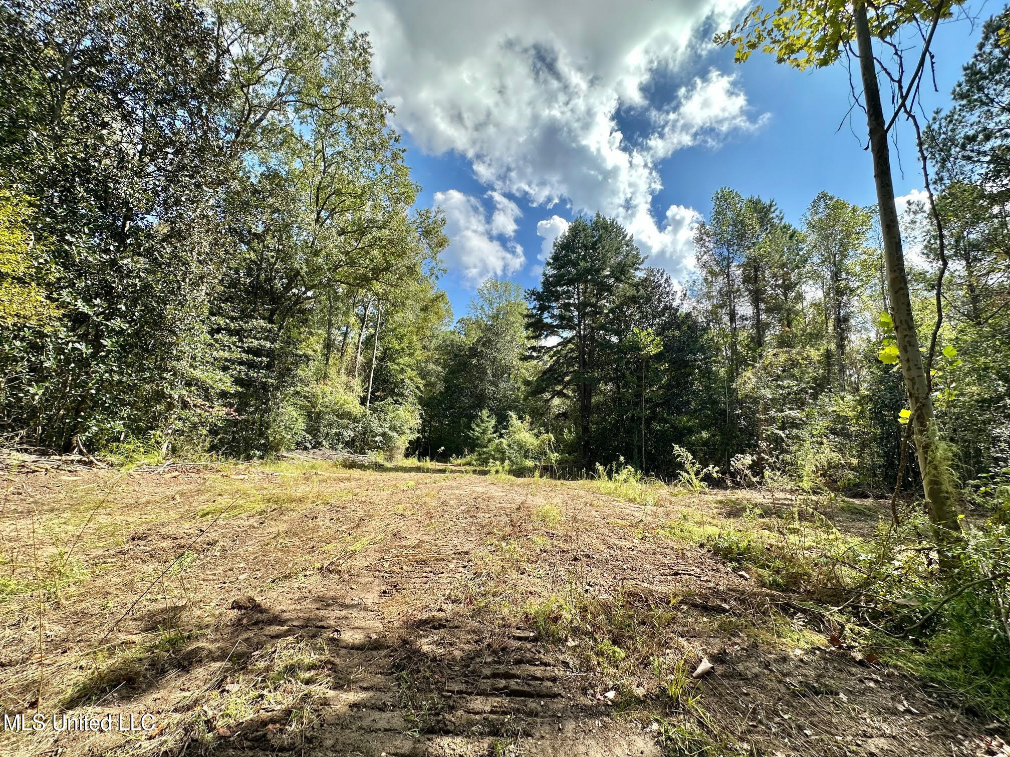 0 Highway 469 Property Photo 24