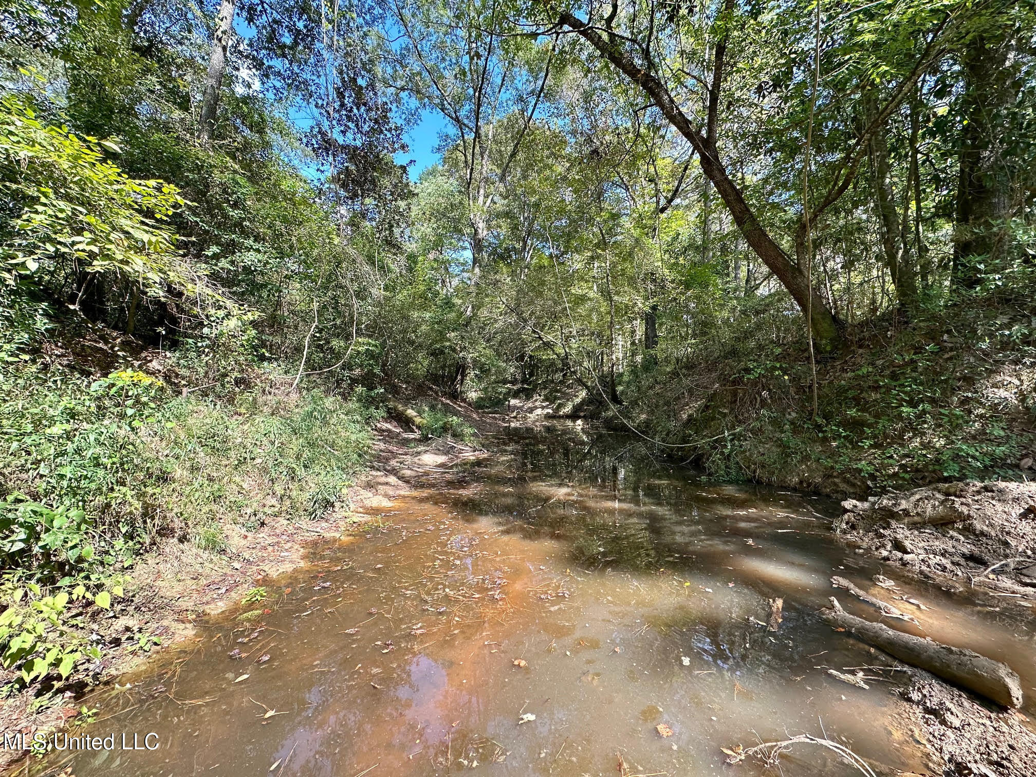 0 Highway 469 Property Photo 25