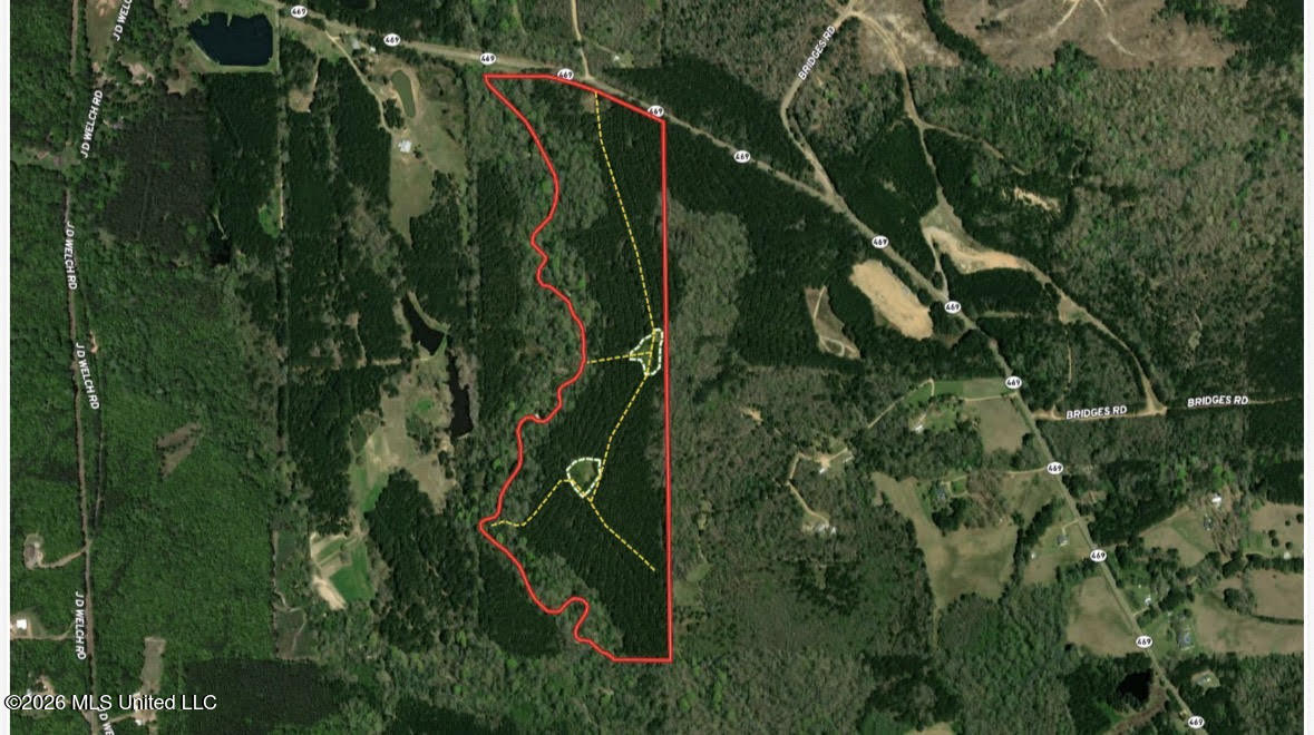 0 Highway 469 Property Photo 25