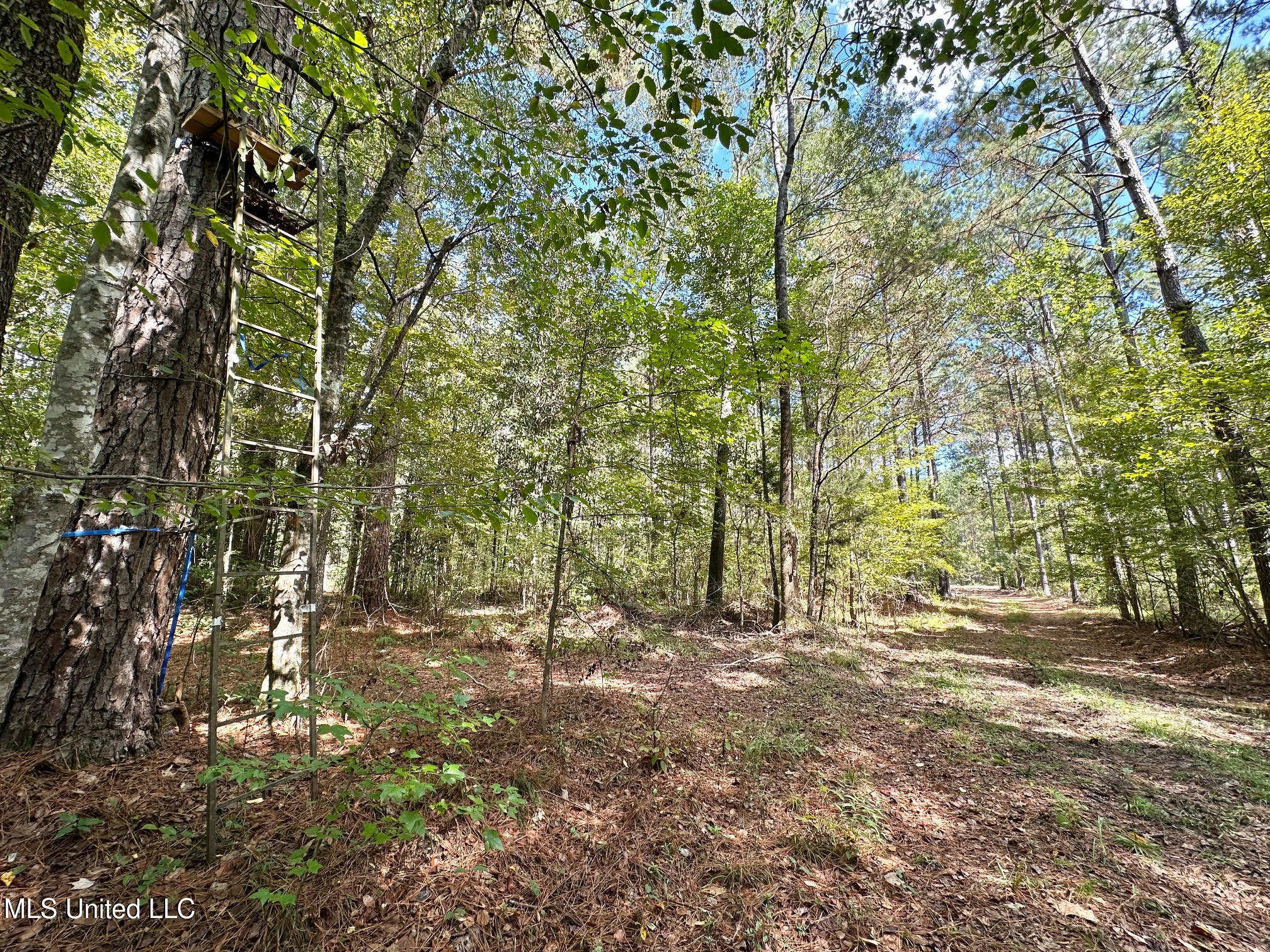 0 Highway 469 Property Photo 26