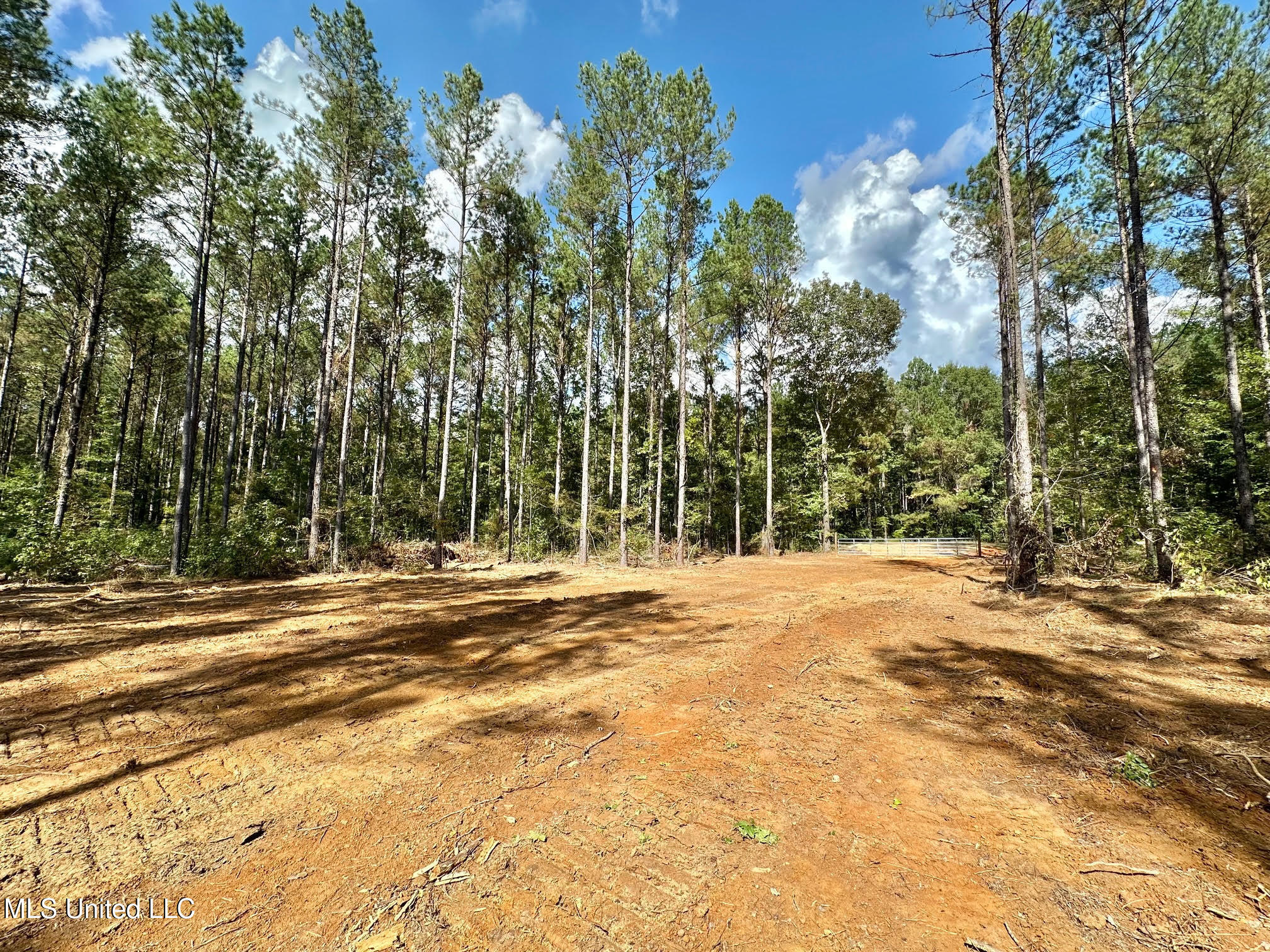 0 Highway 469 Property Photo 29