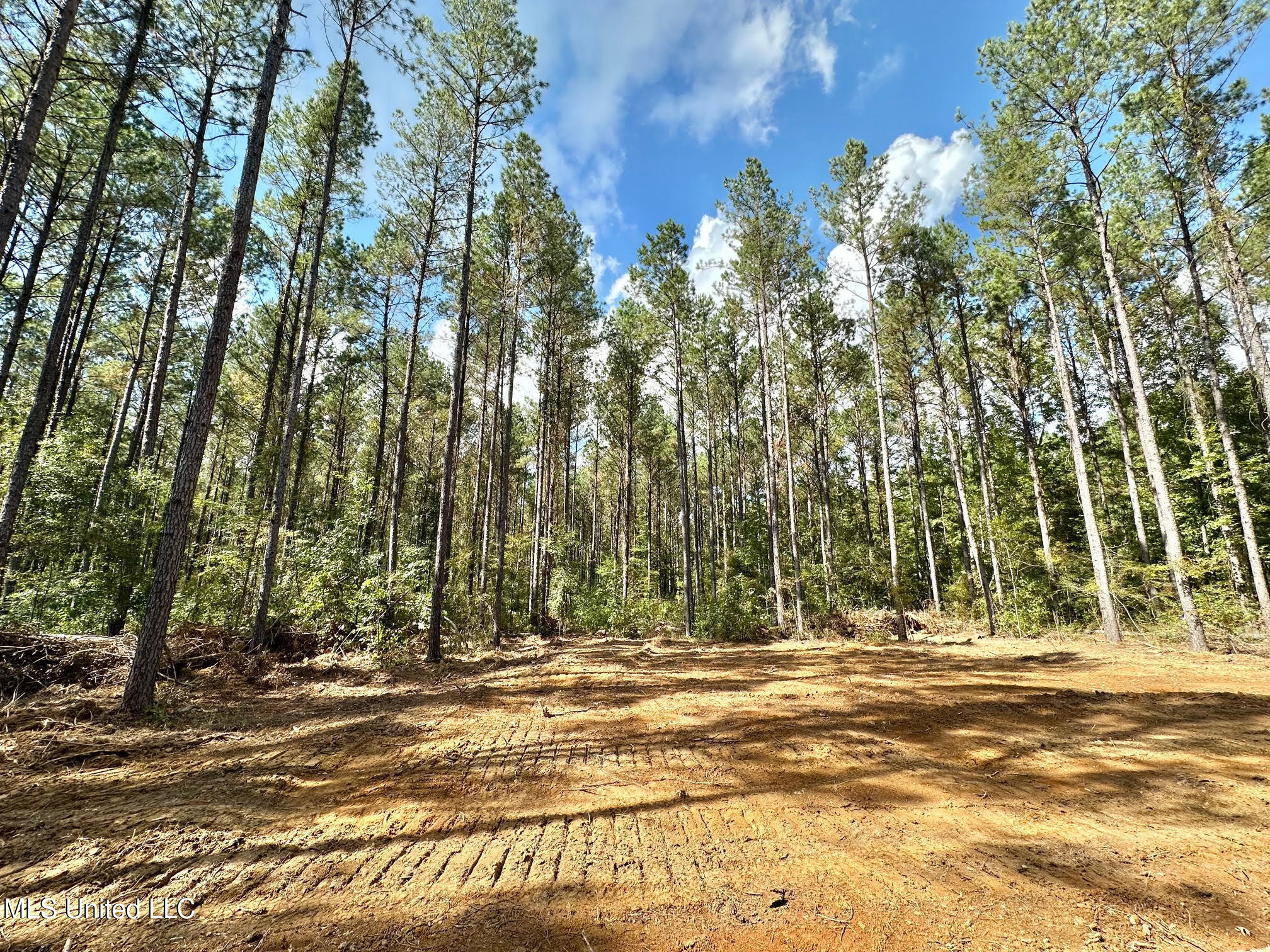 0 Highway 469 Property Photo 30