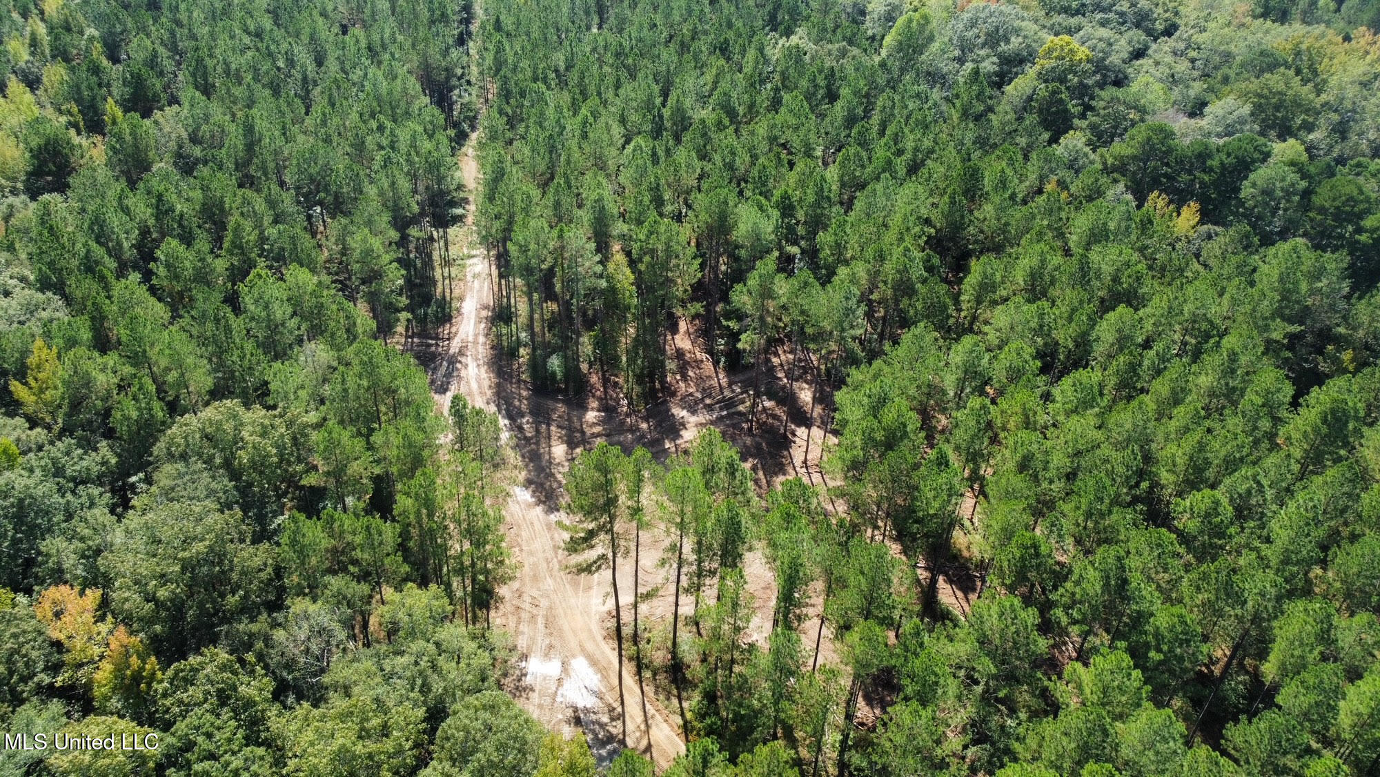 0 Highway 469 Property Photo 38