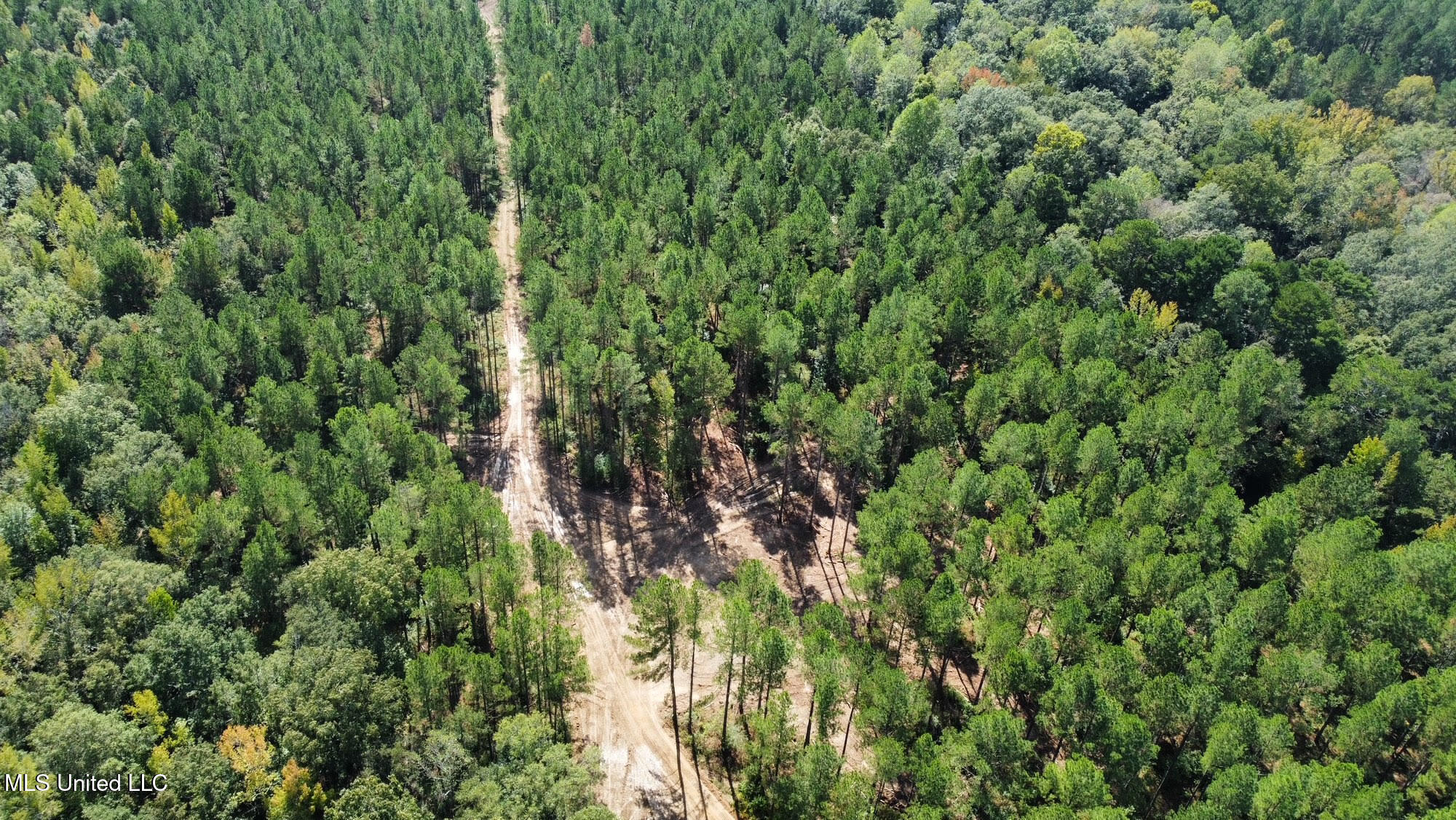 0 Highway 469 Property Photo 39