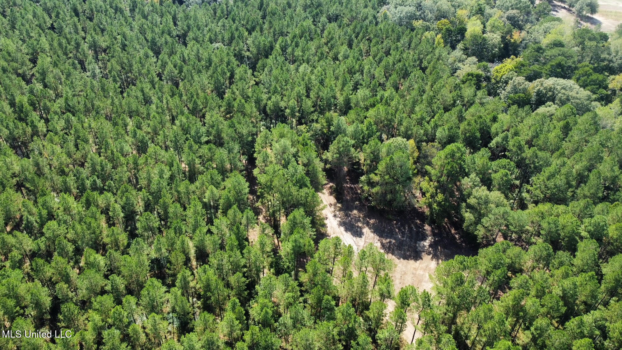 0 Highway 469 Property Photo 40