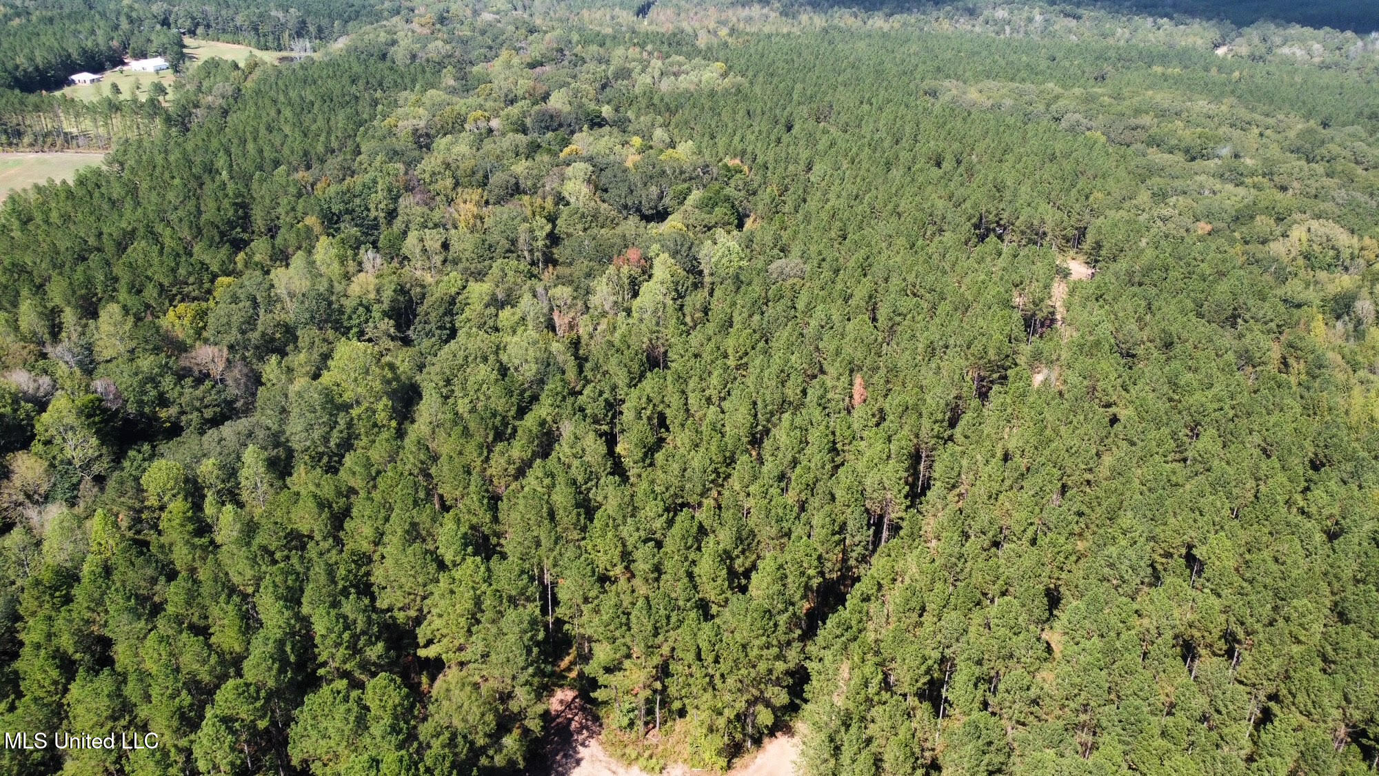 0 Highway 469 Property Photo 41