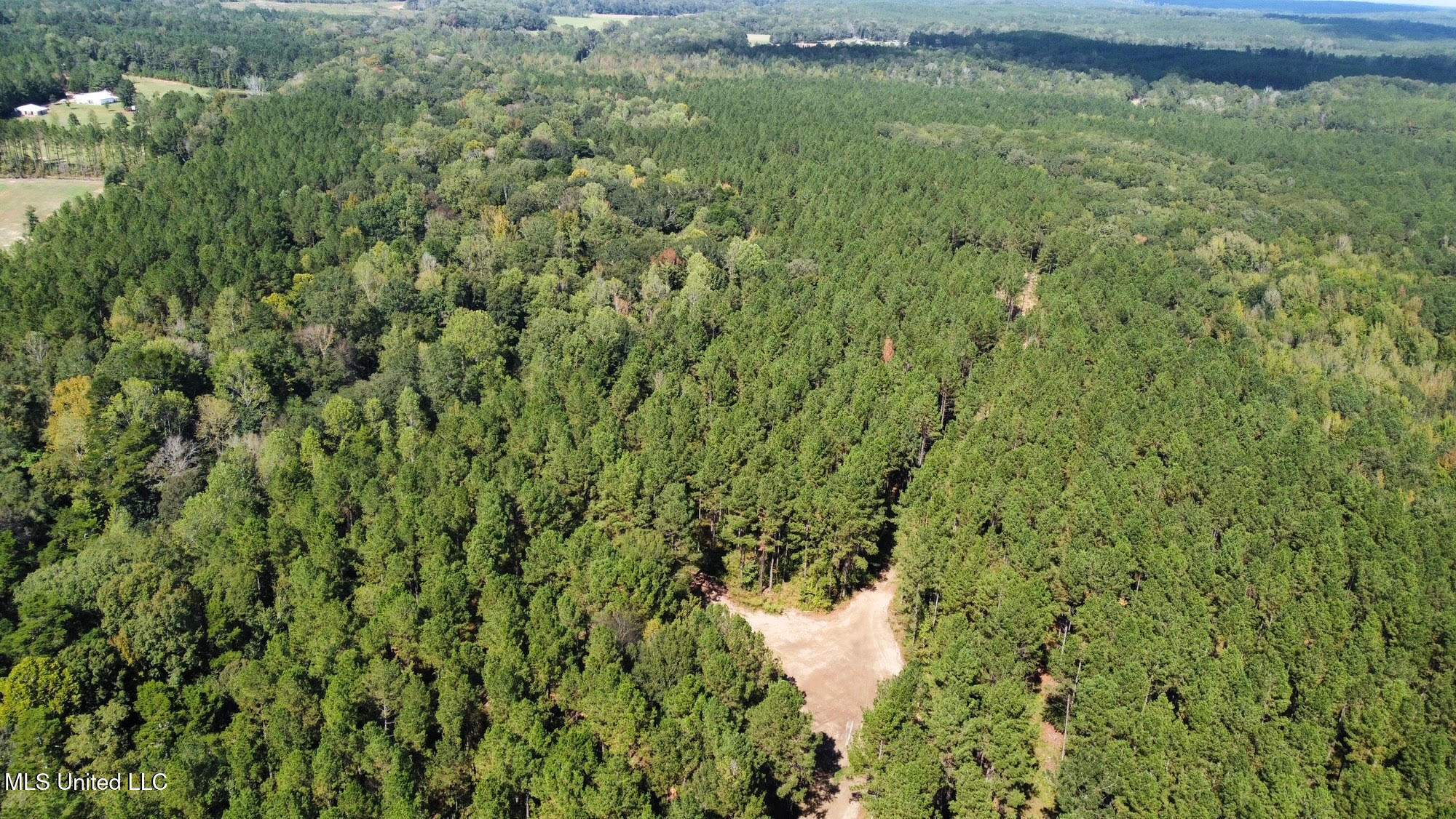 0 Highway 469 Property Photo 42