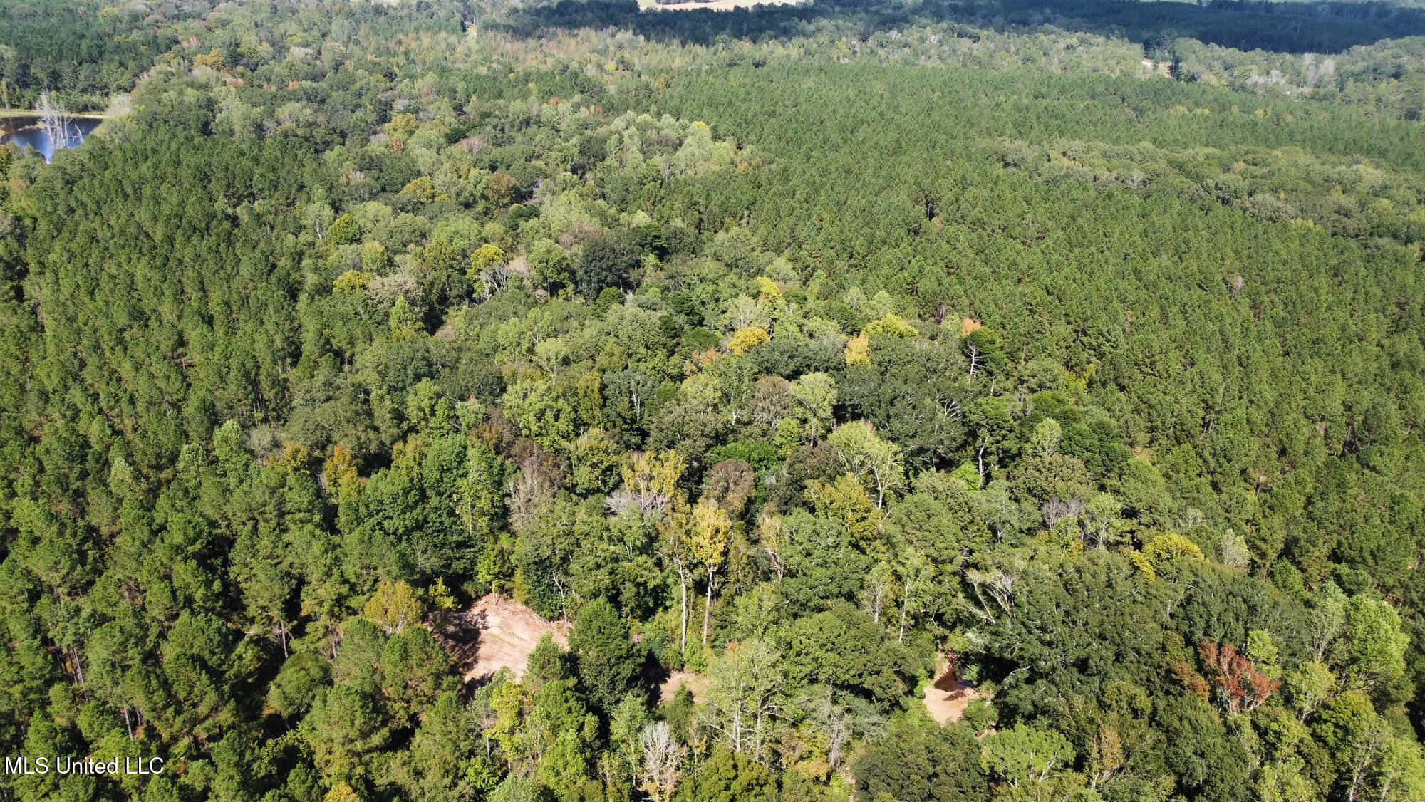 0 Highway 469 Property Photo 43