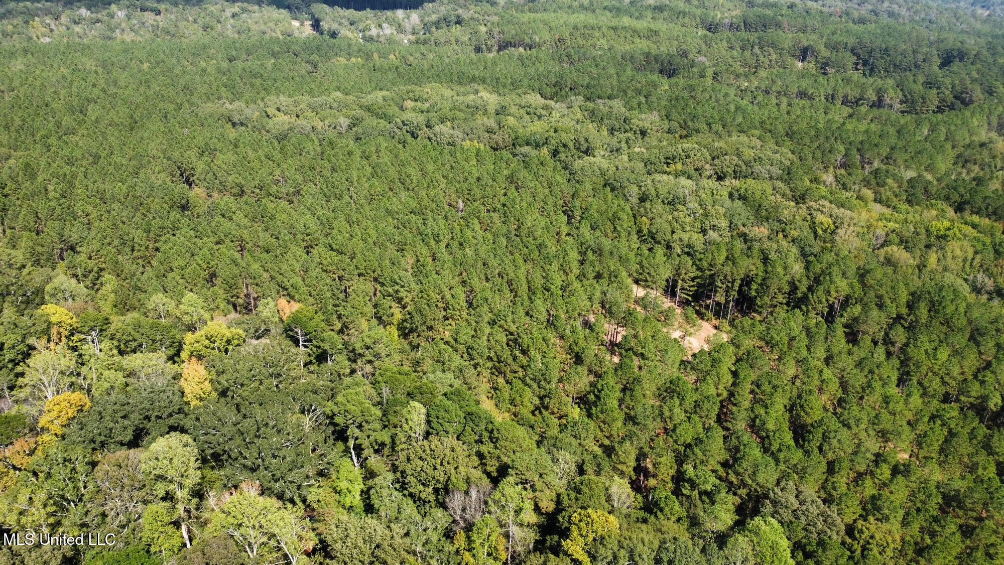 0 Highway 469 Property Photo 44