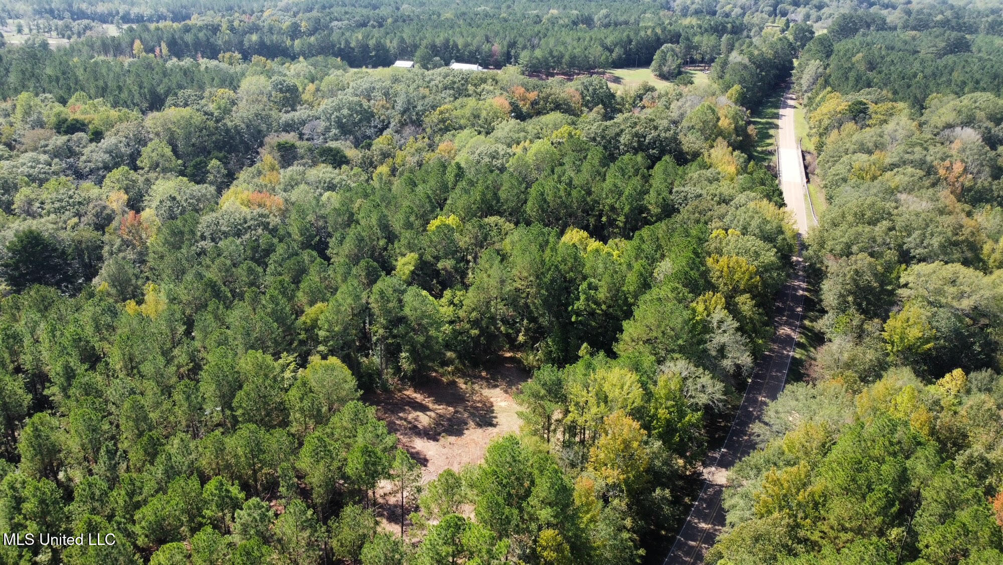 0 Highway 469 Property Photo 45