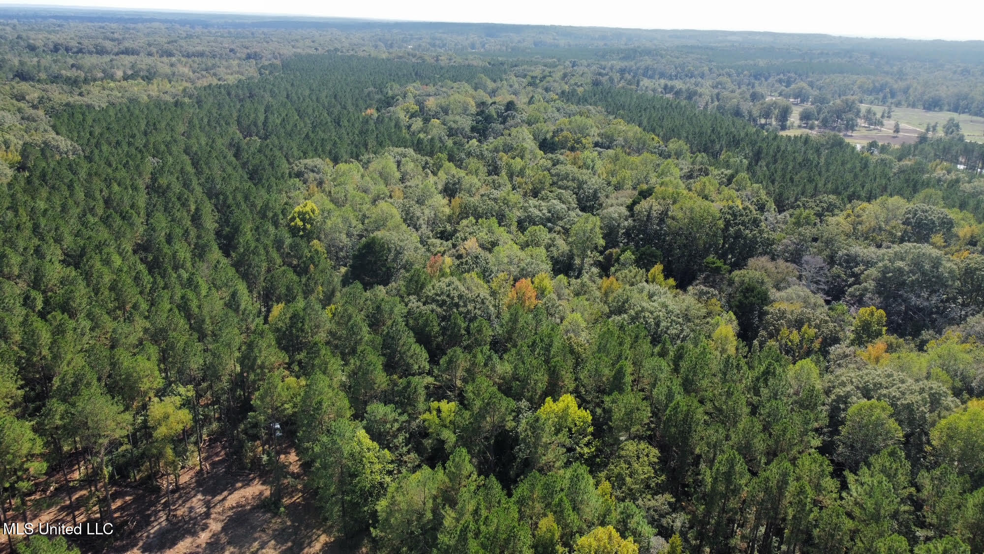 0 Highway 469 Property Photo 46