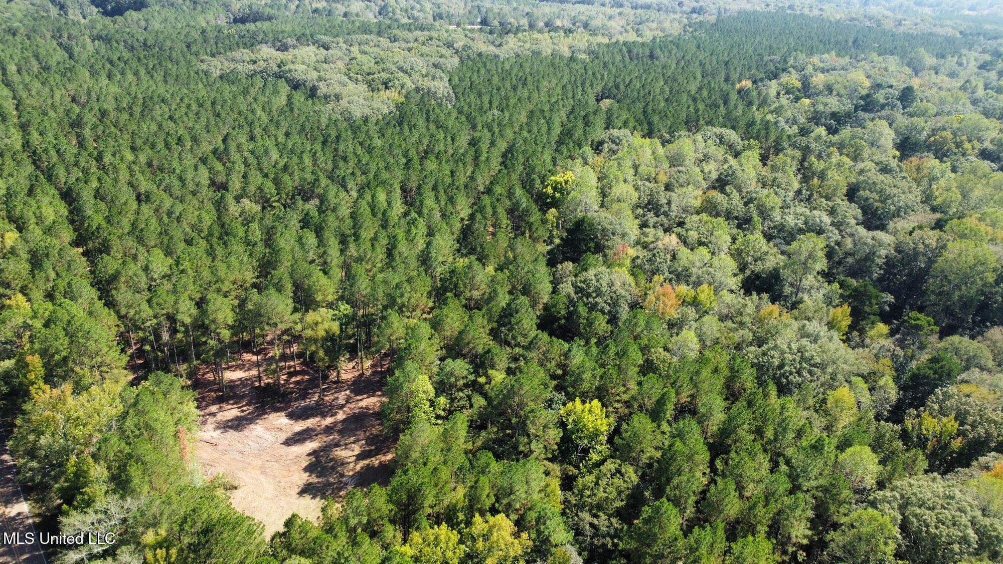 0 Highway 469 Property Photo 47