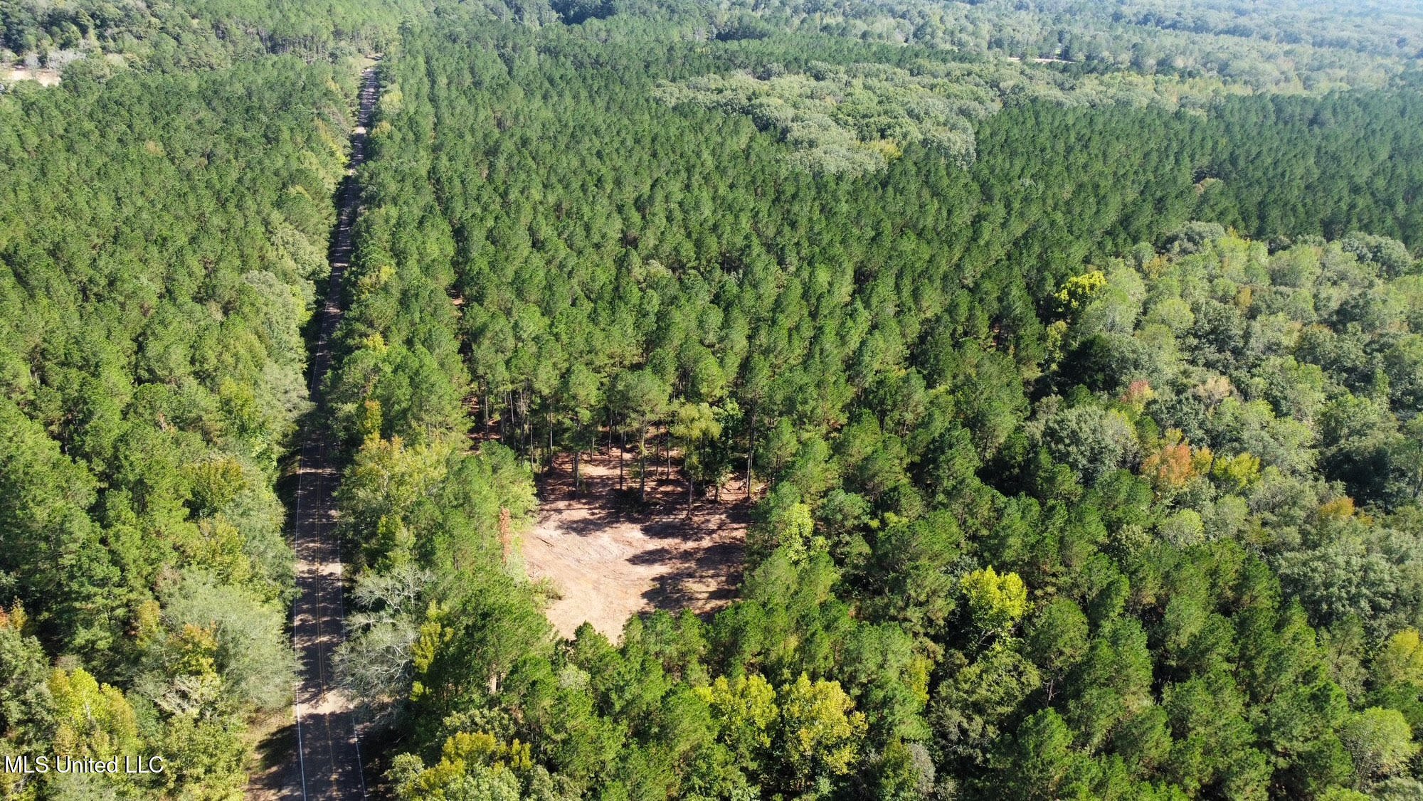 0 Highway 469 Property Photo 48