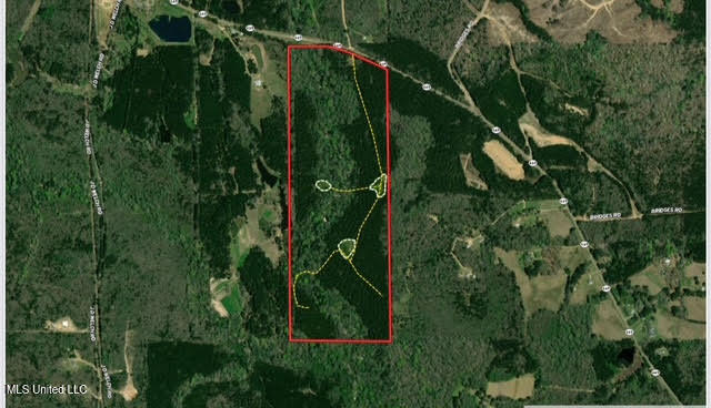 0 Highway 469 Property Photo 49