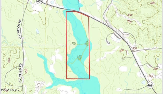 0 Highway 469 Property Photo 50