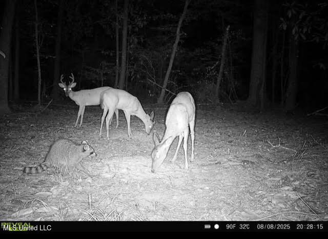 0 Highway 469 Property Photo 55