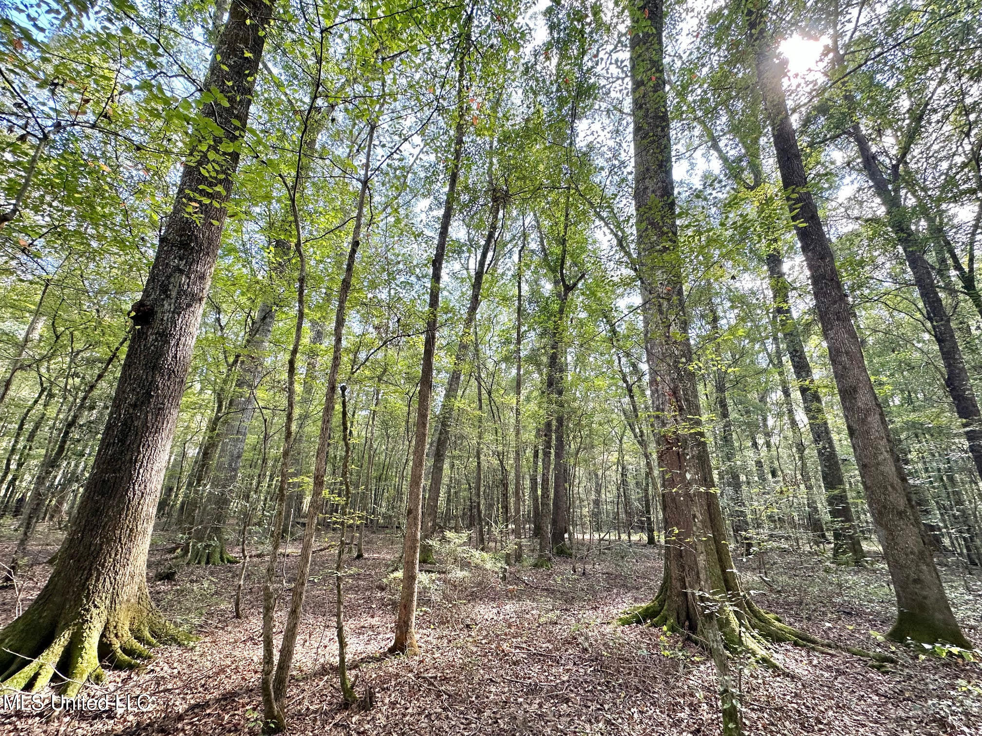 1 Highway 469 Property Photo 1