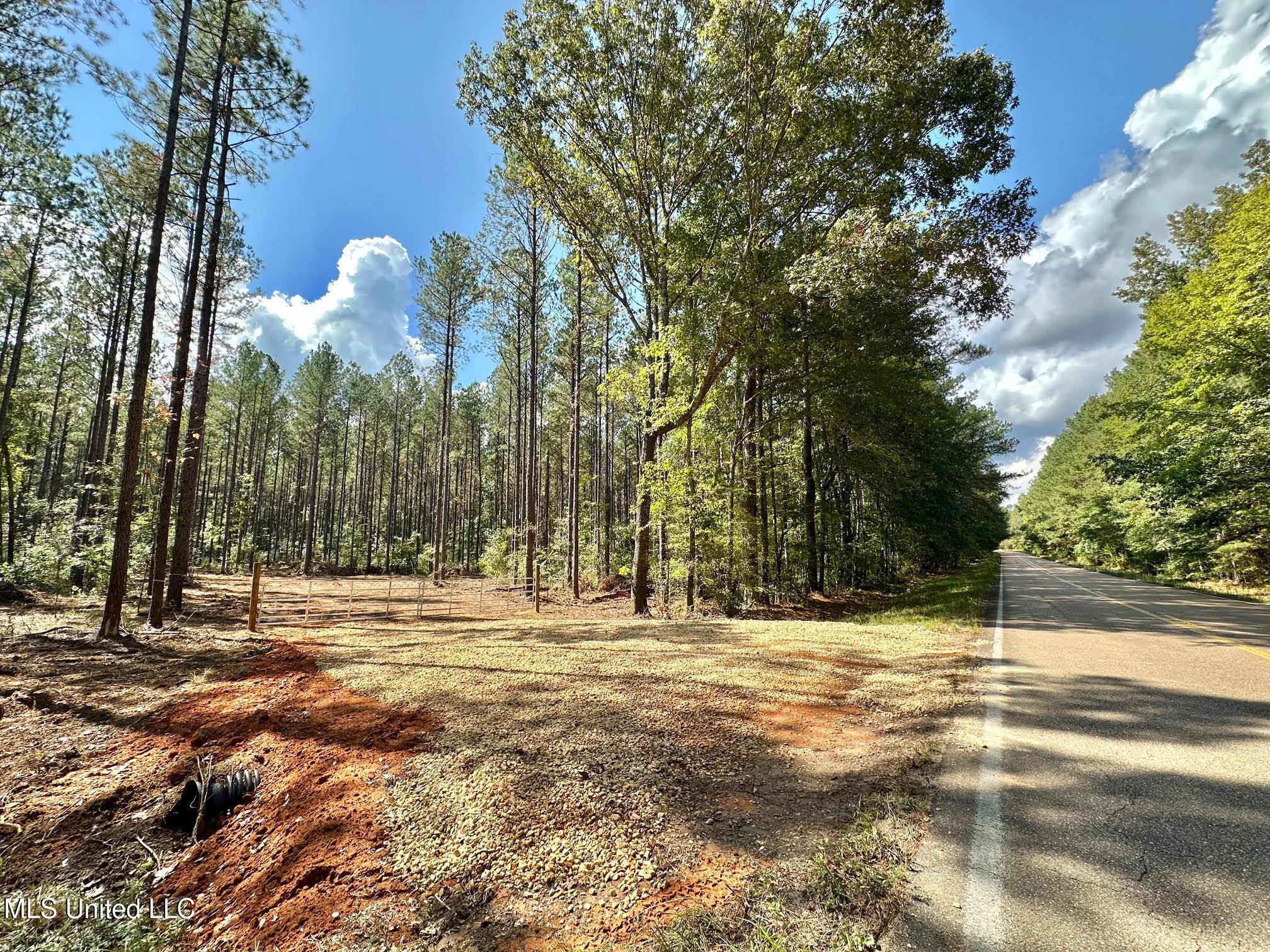 1 Highway 469 Property Photo 2