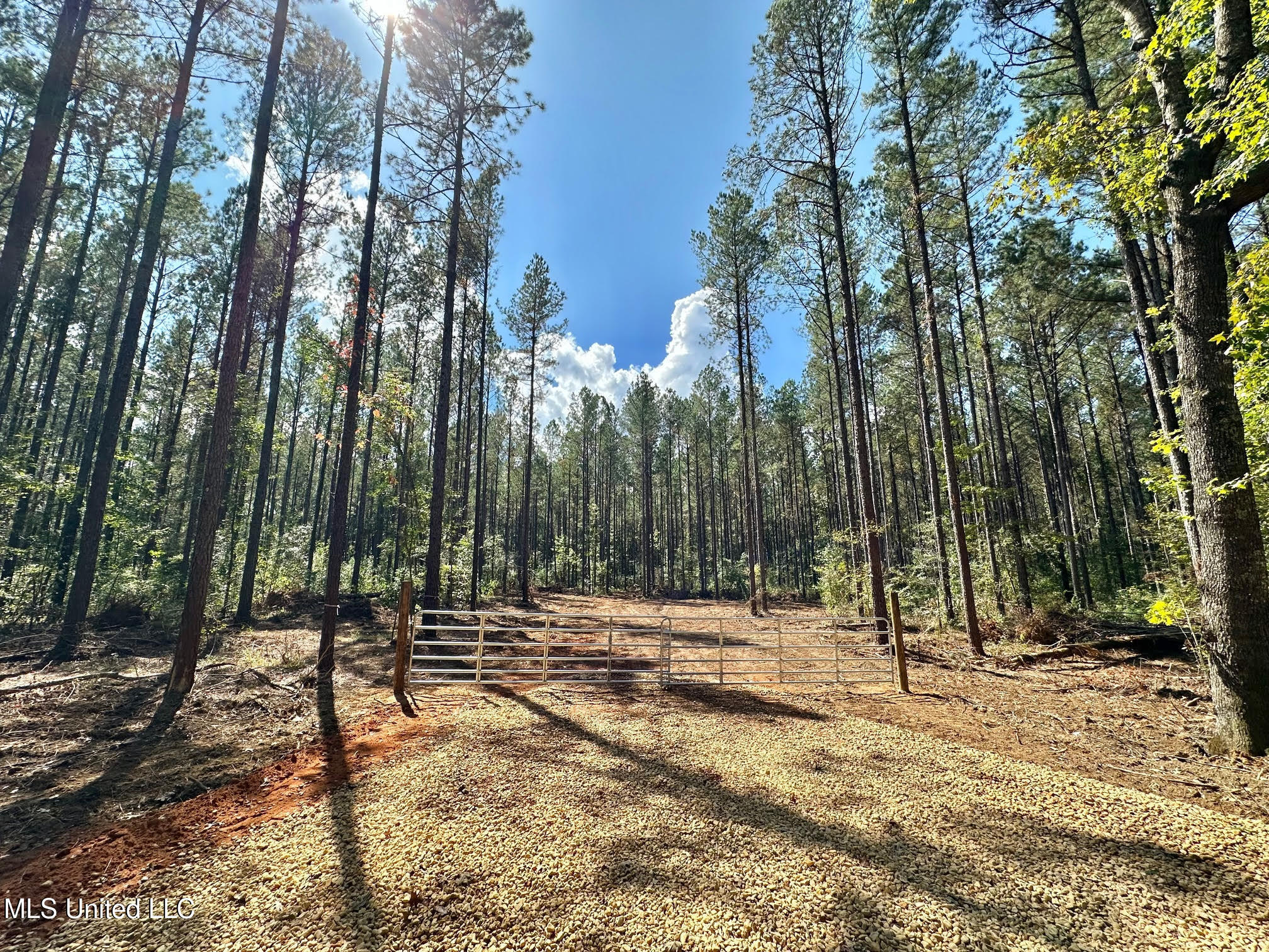 1 Highway 469 Property Photo 3