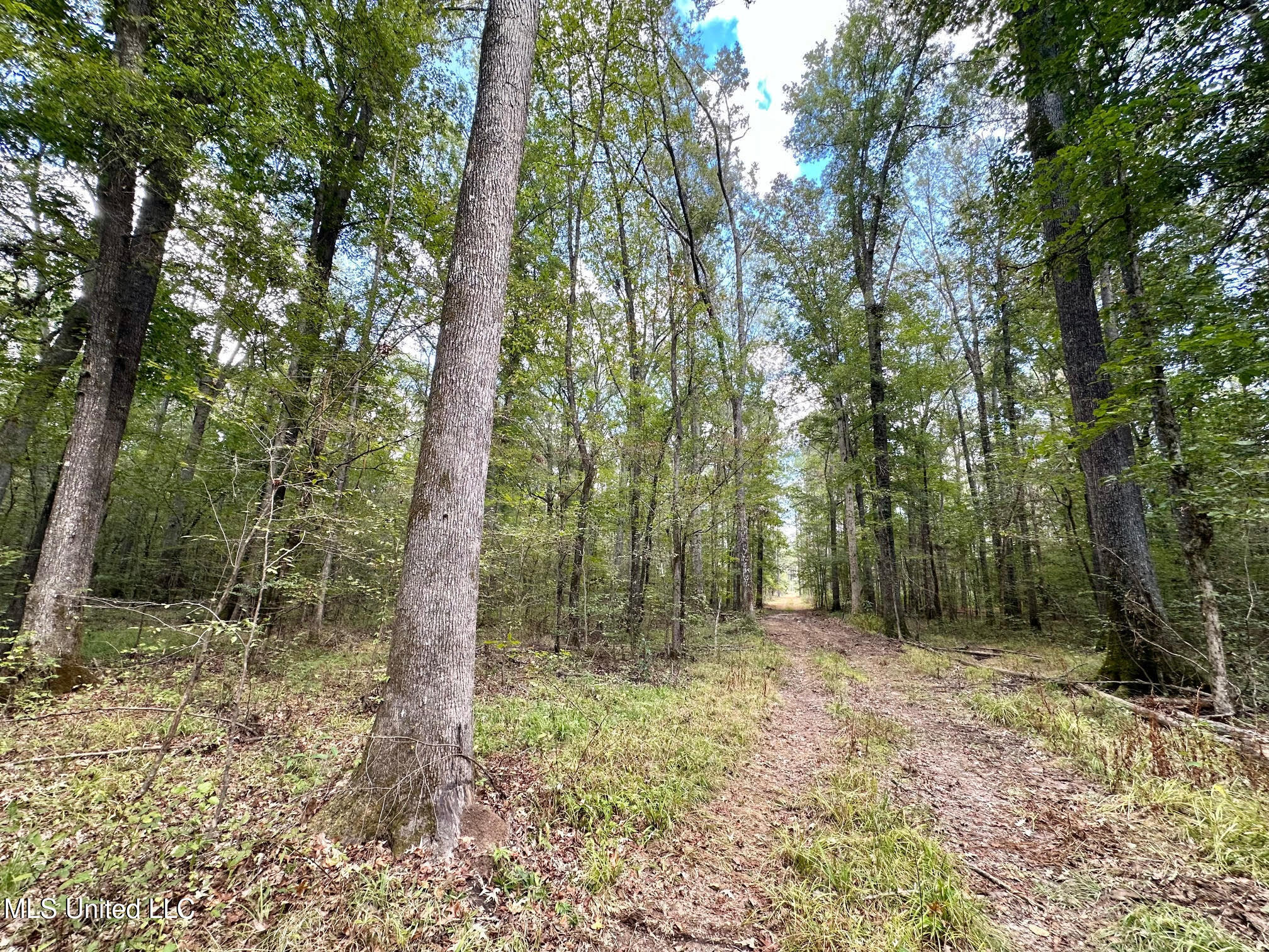 1 Highway 469 Property Photo 6