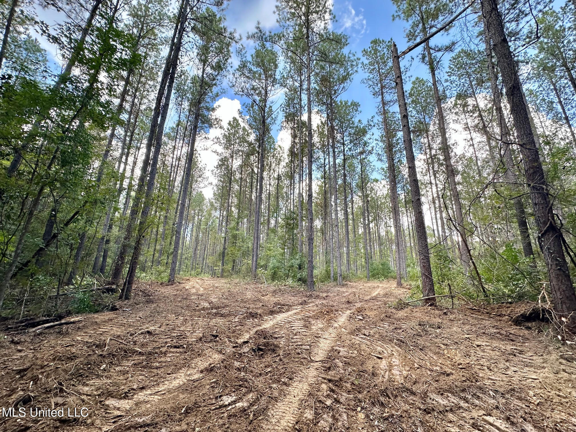 1 Highway 469 Property Photo 10