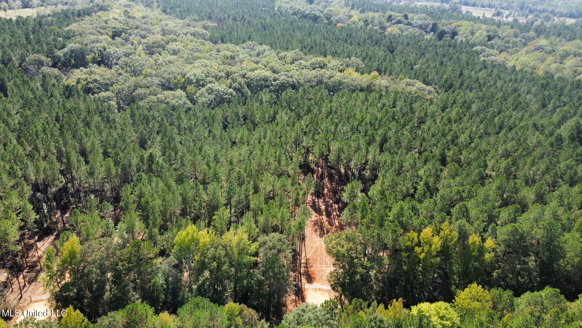 1 Highway 469 Property Photo 17