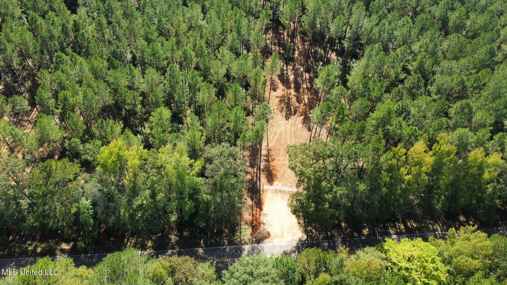 1 Highway 469 Property Photo 18