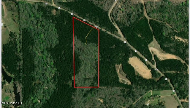 1 Highway 469 Property Photo 19