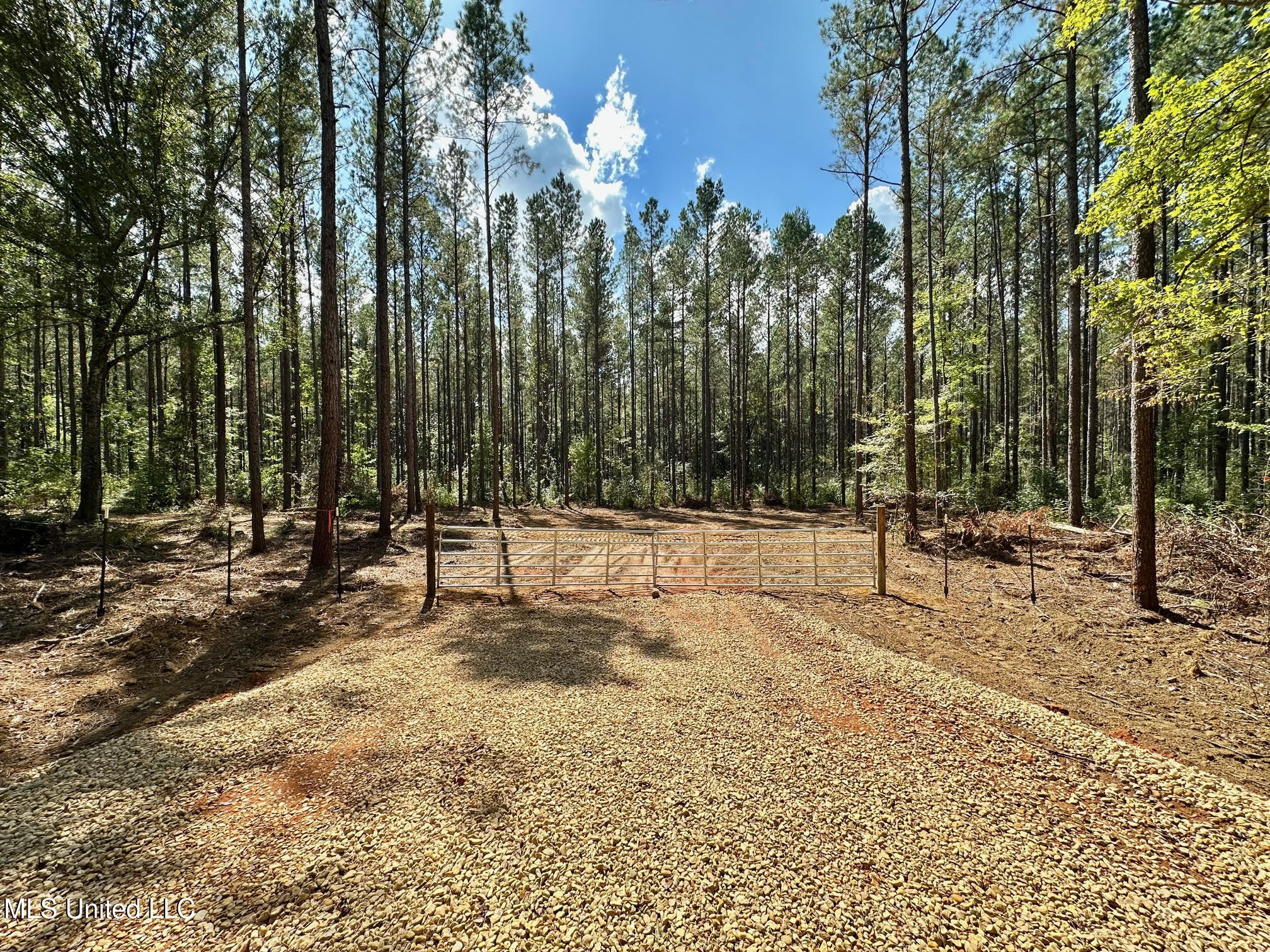 2 Highway 469 Property Photo 2