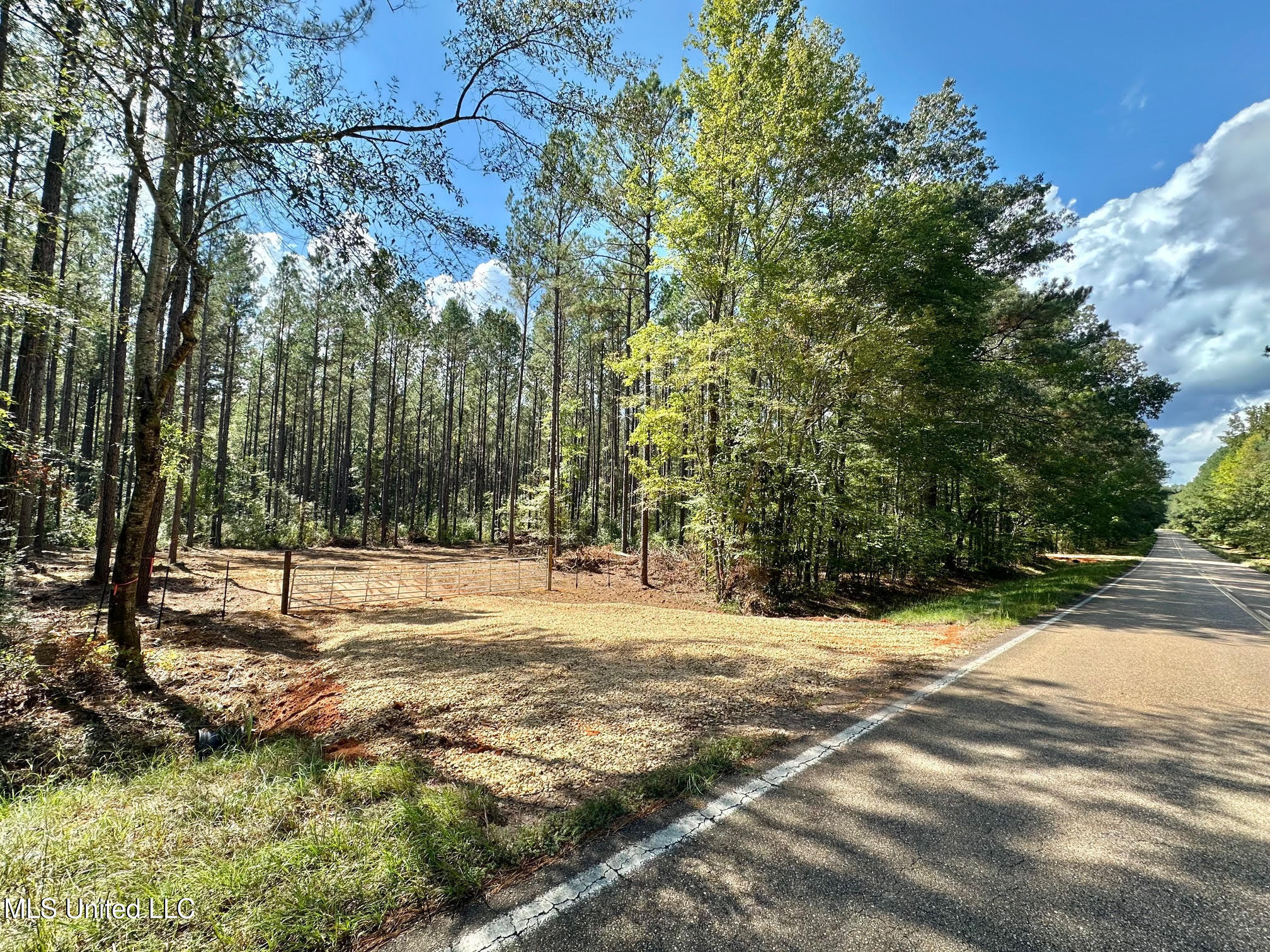 2 Highway 469 Property Photo 3