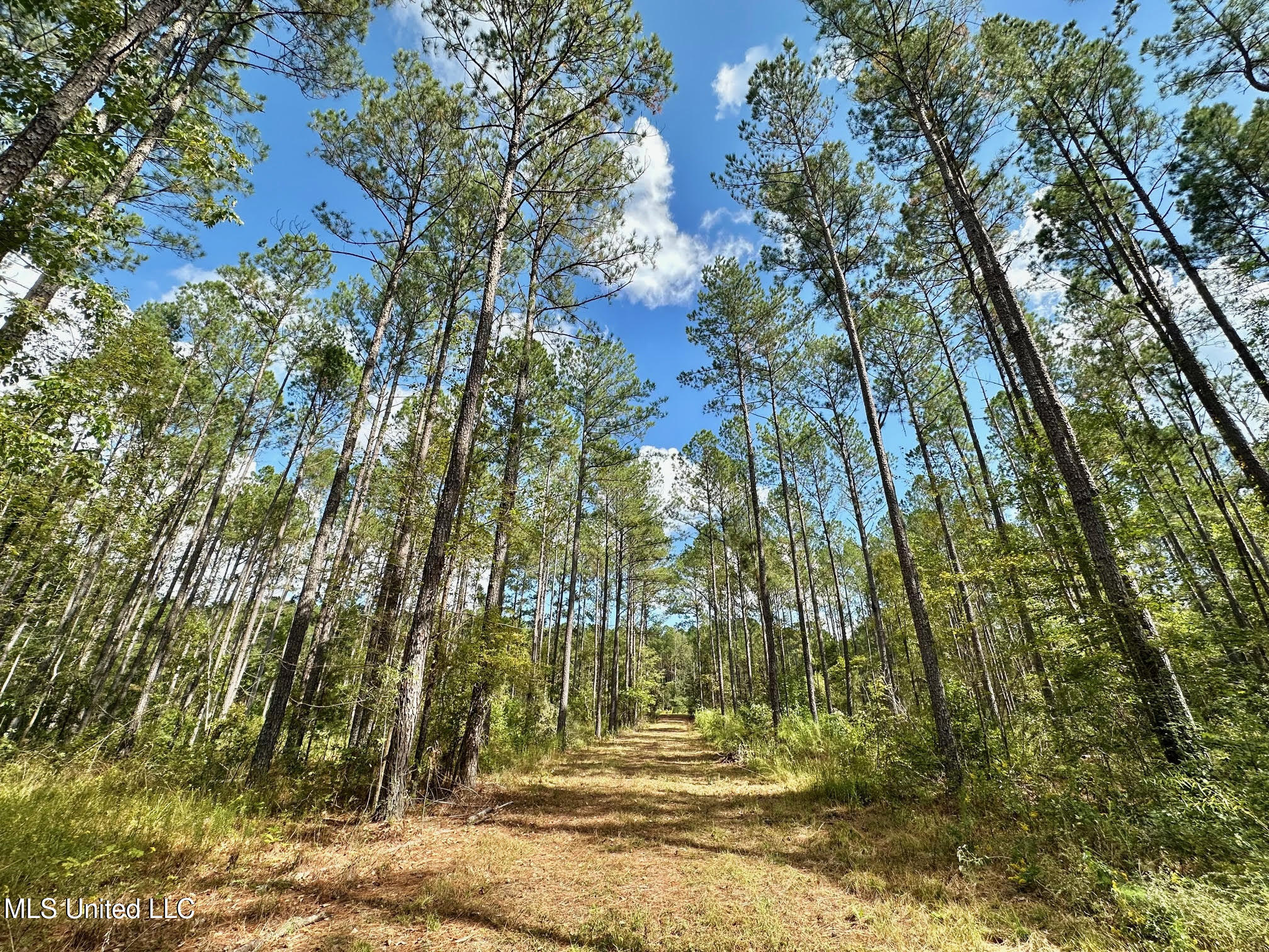 2 Highway 469 Property Photo 6