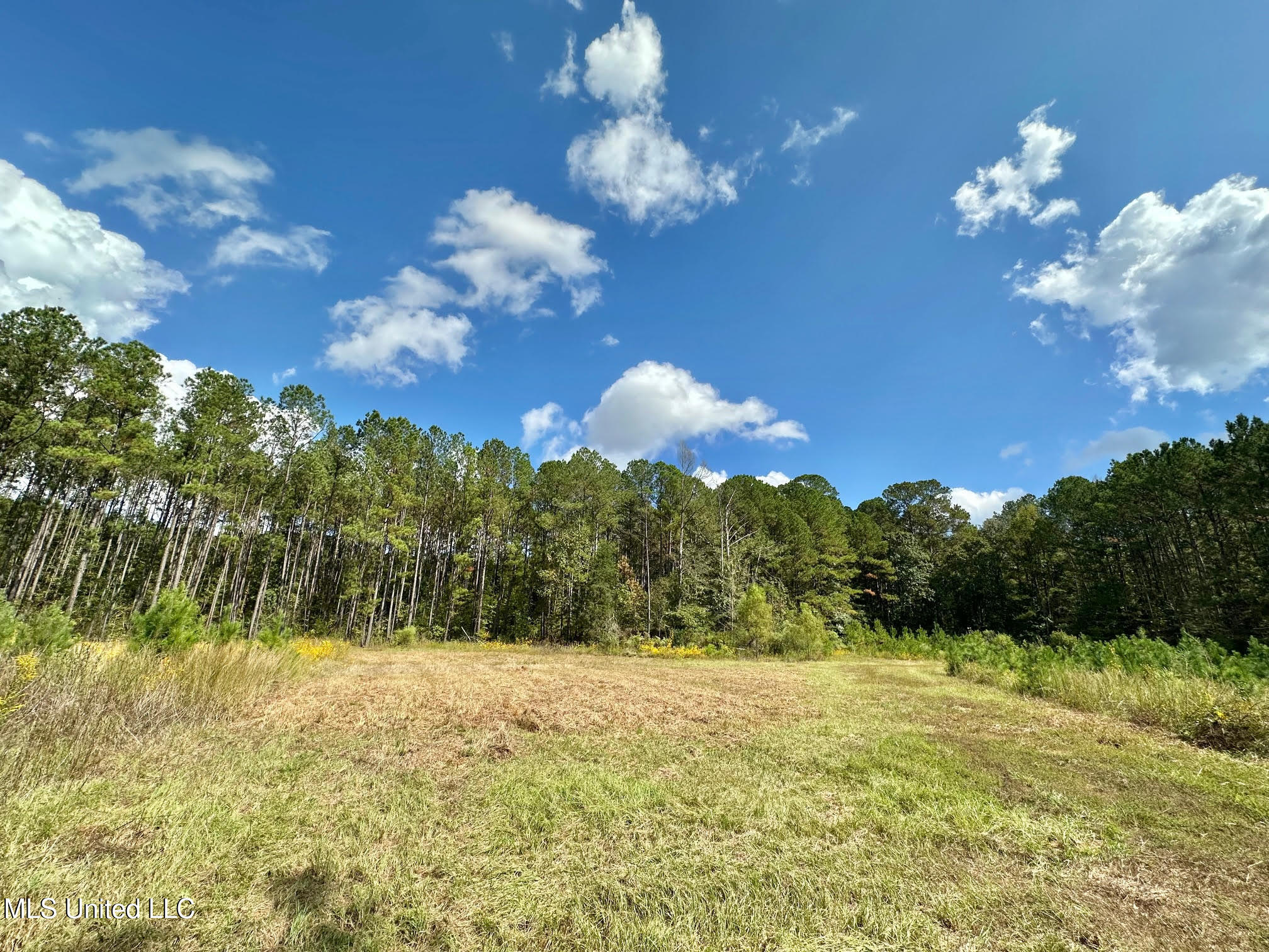 2 Highway 469 Property Photo 7