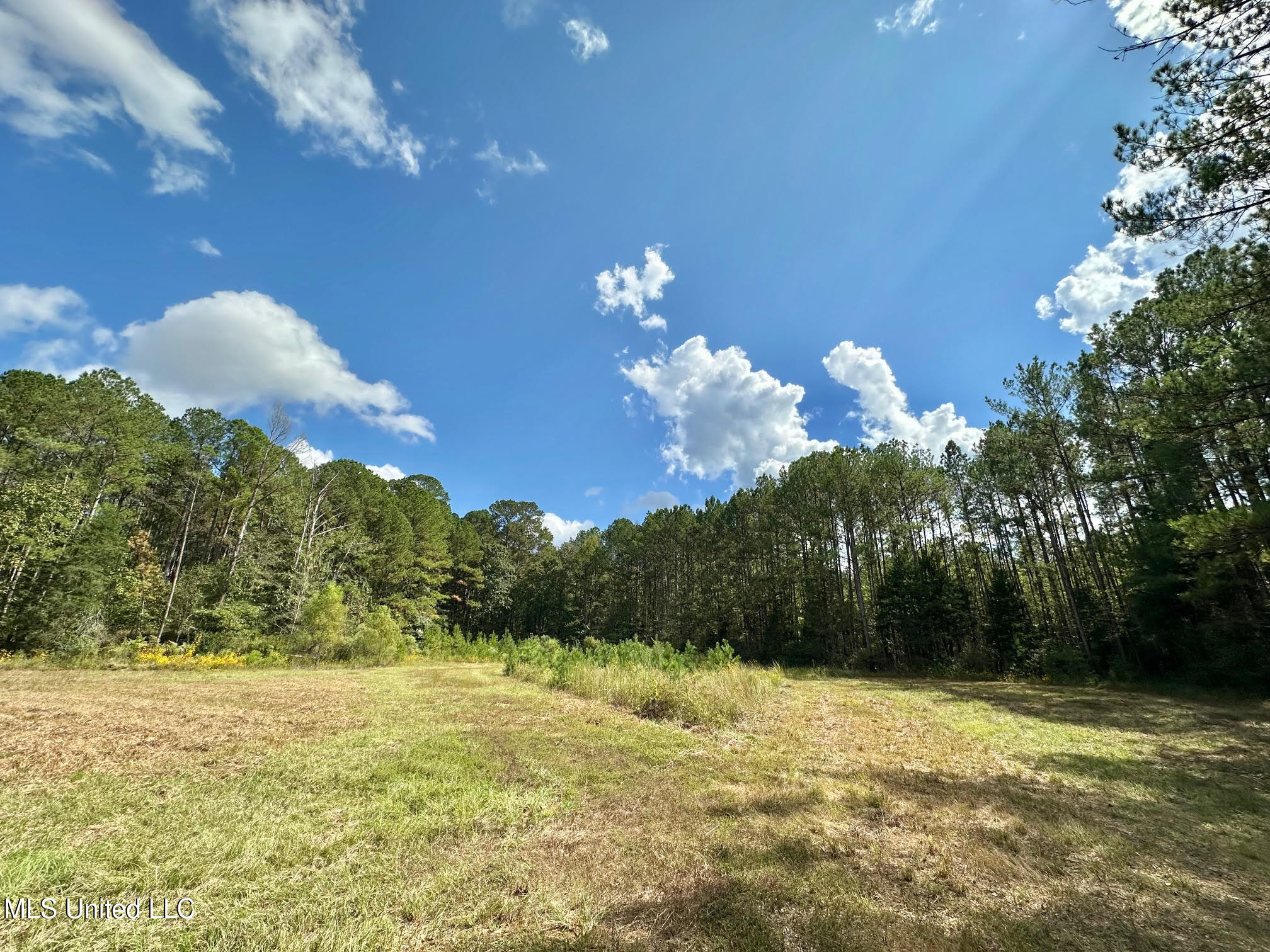 2 Highway 469 Property Photo 8