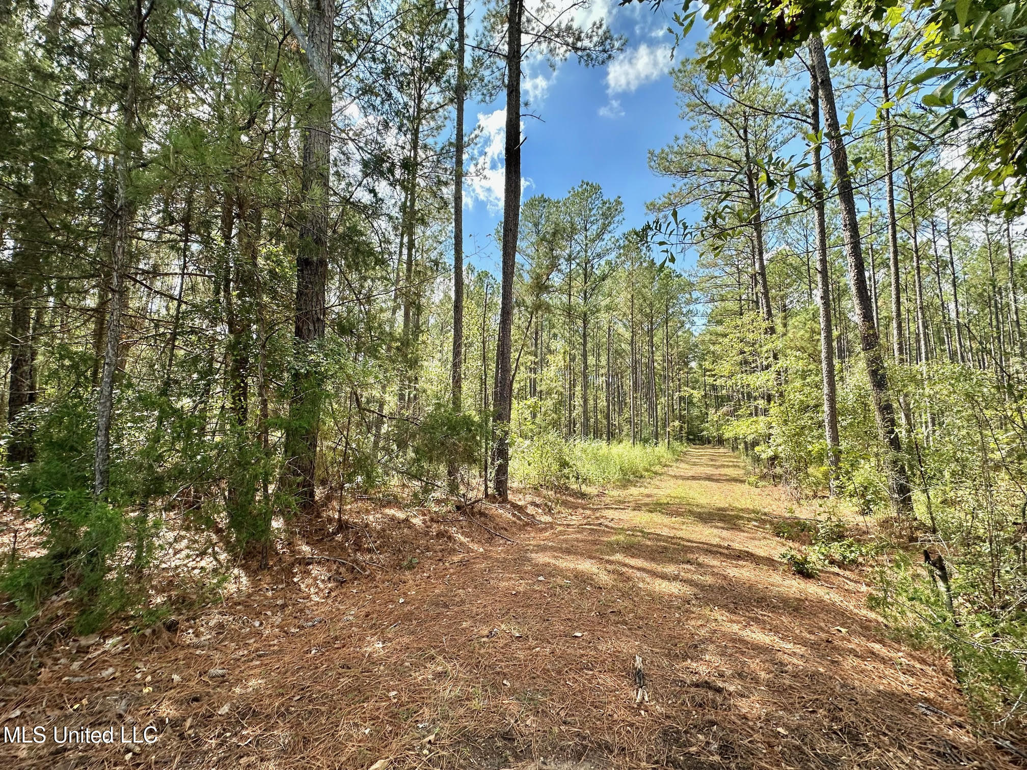 2 Highway 469 Property Photo 9