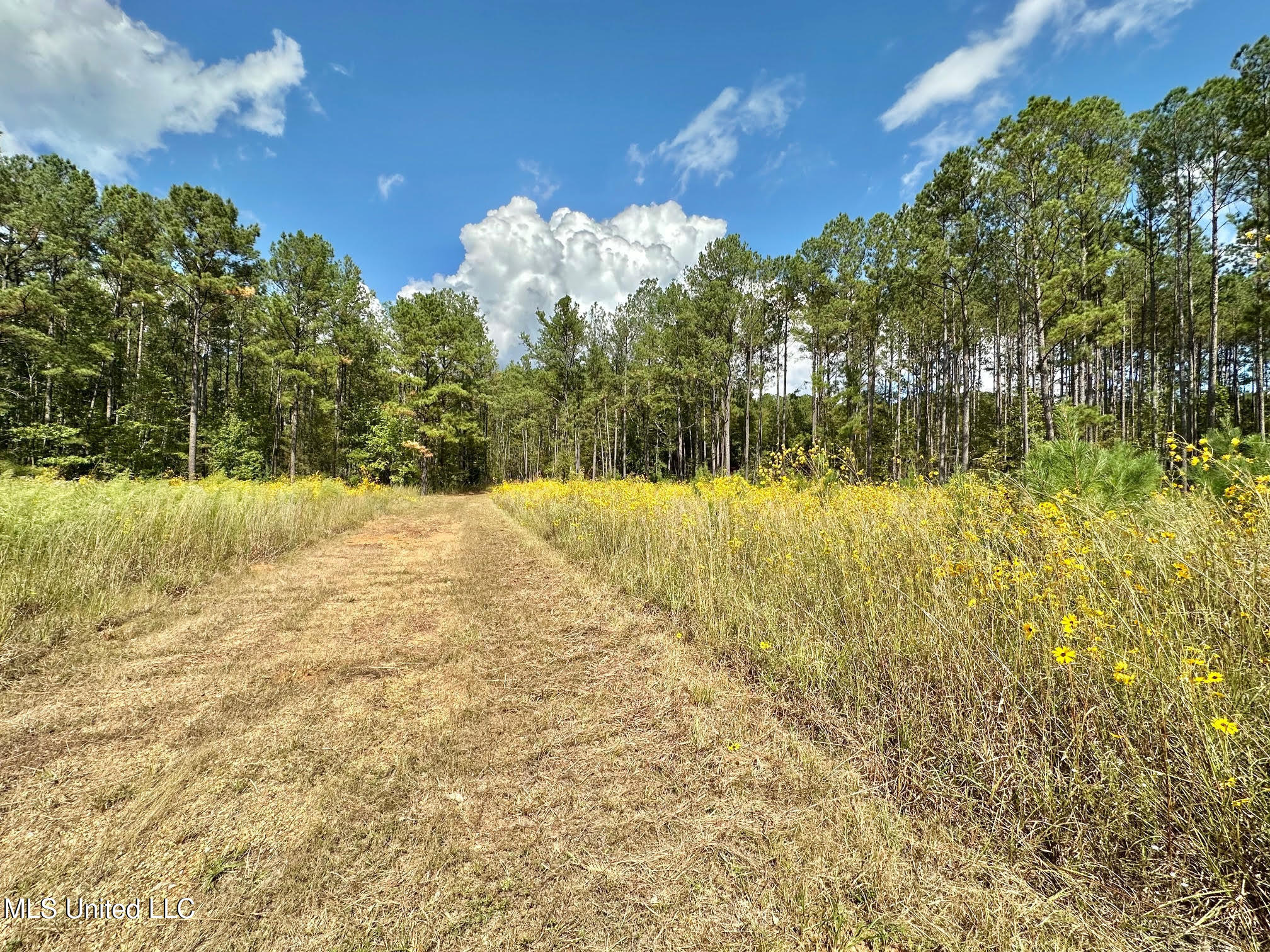 2 Highway 469 Property Photo 10