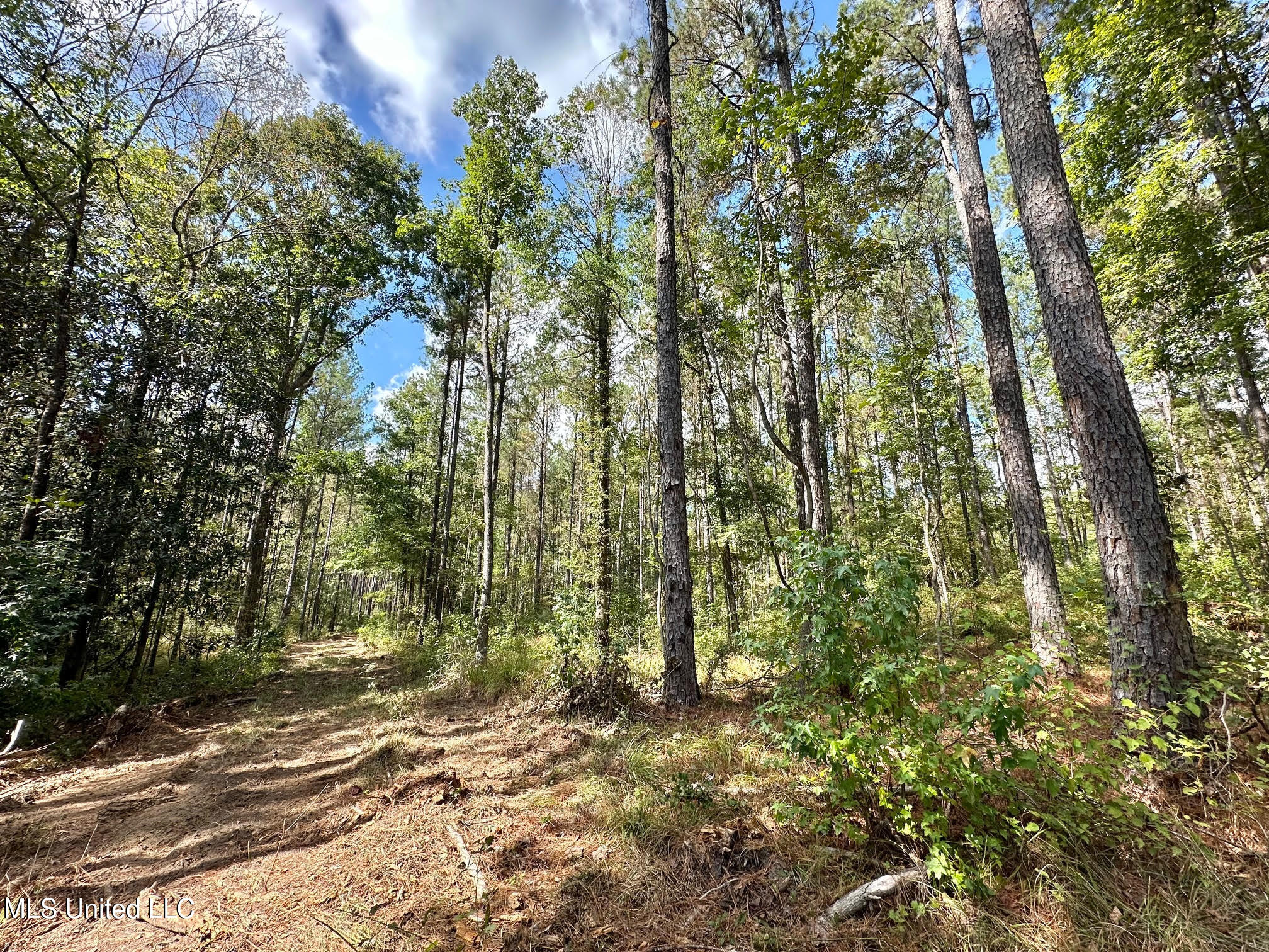 2 Highway 469 Property Photo 11