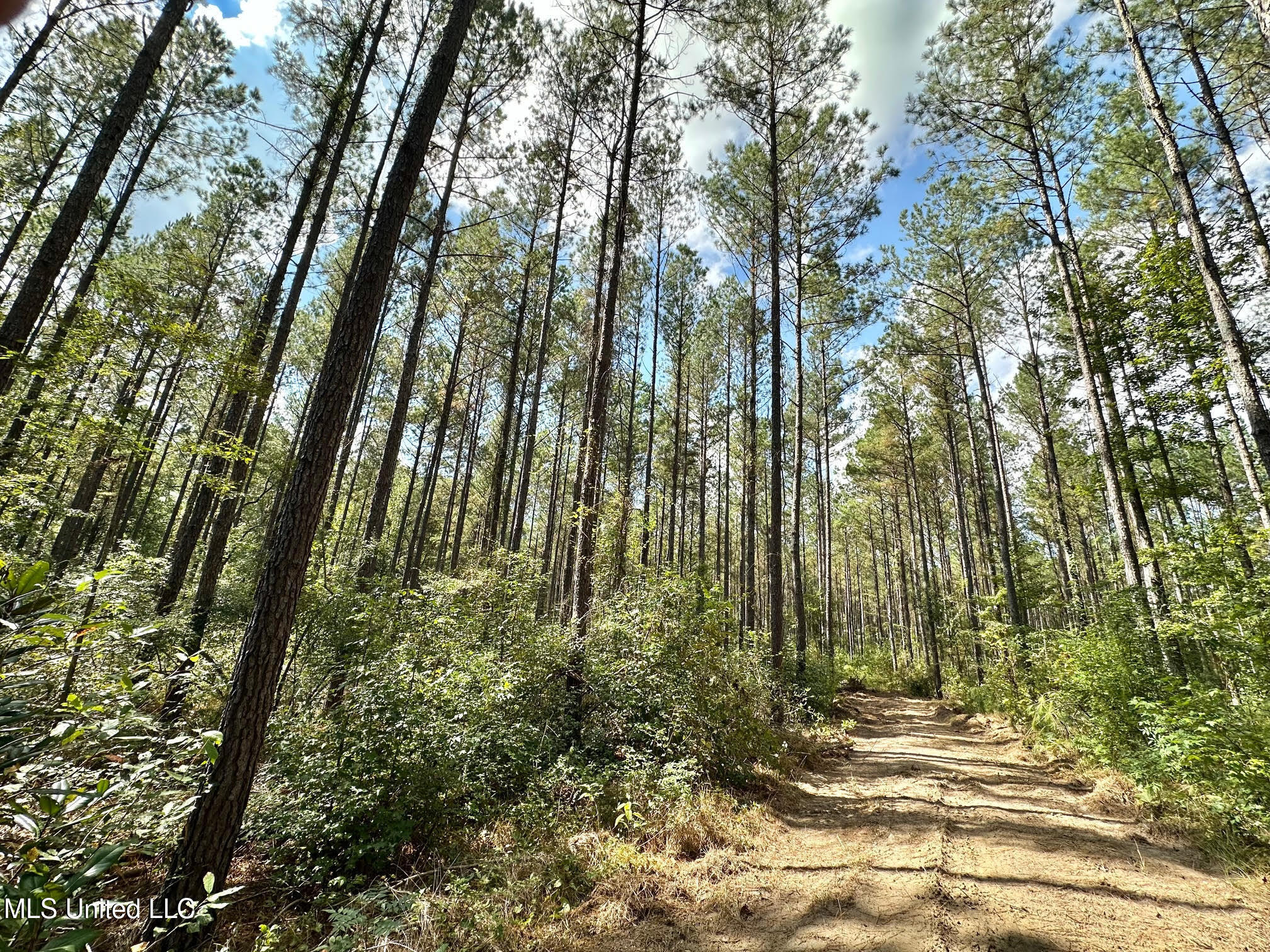 2 Highway 469 Property Photo 12