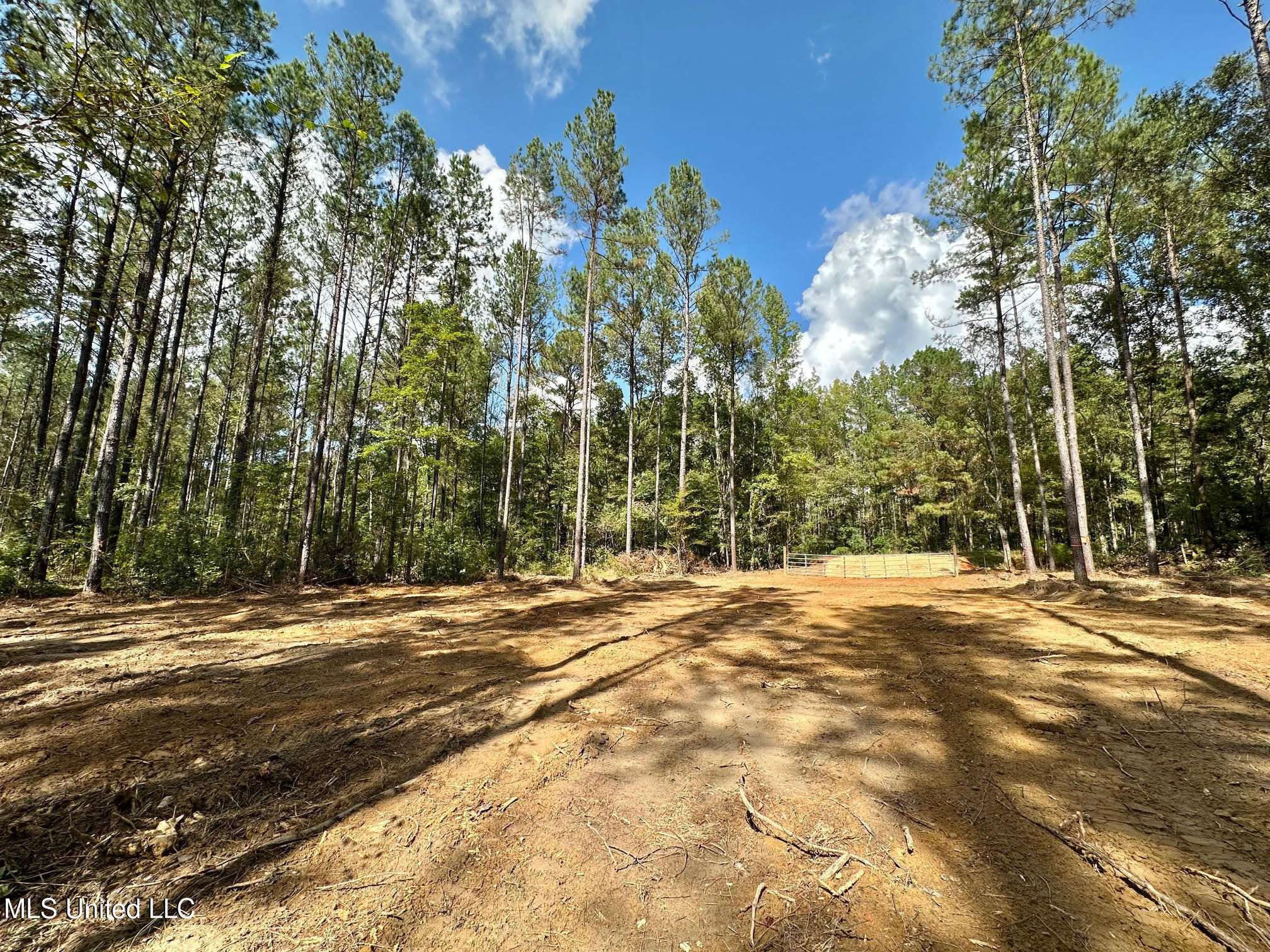 2 Highway 469 Property Photo 13