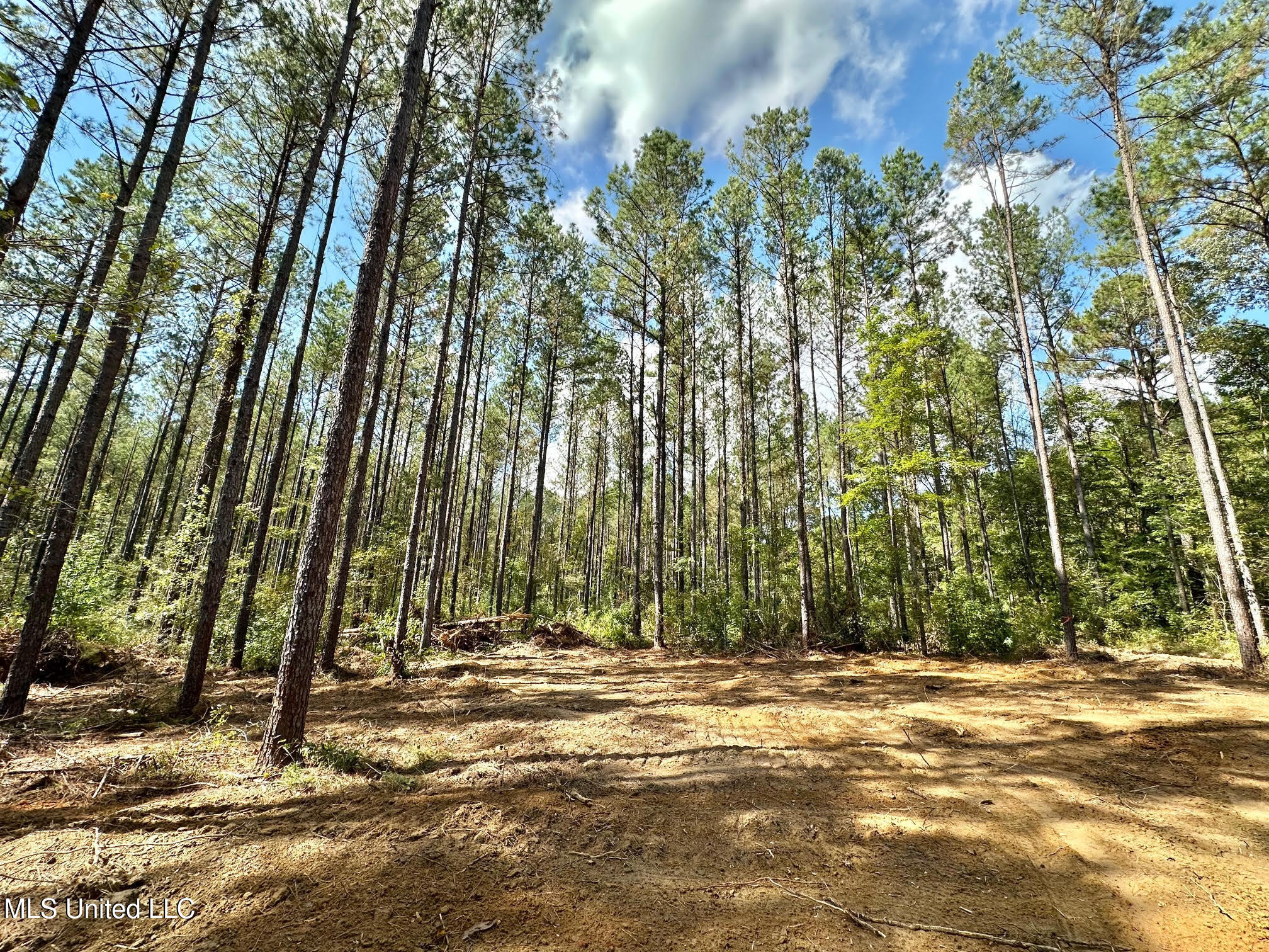 2 Highway 469 Property Photo 14