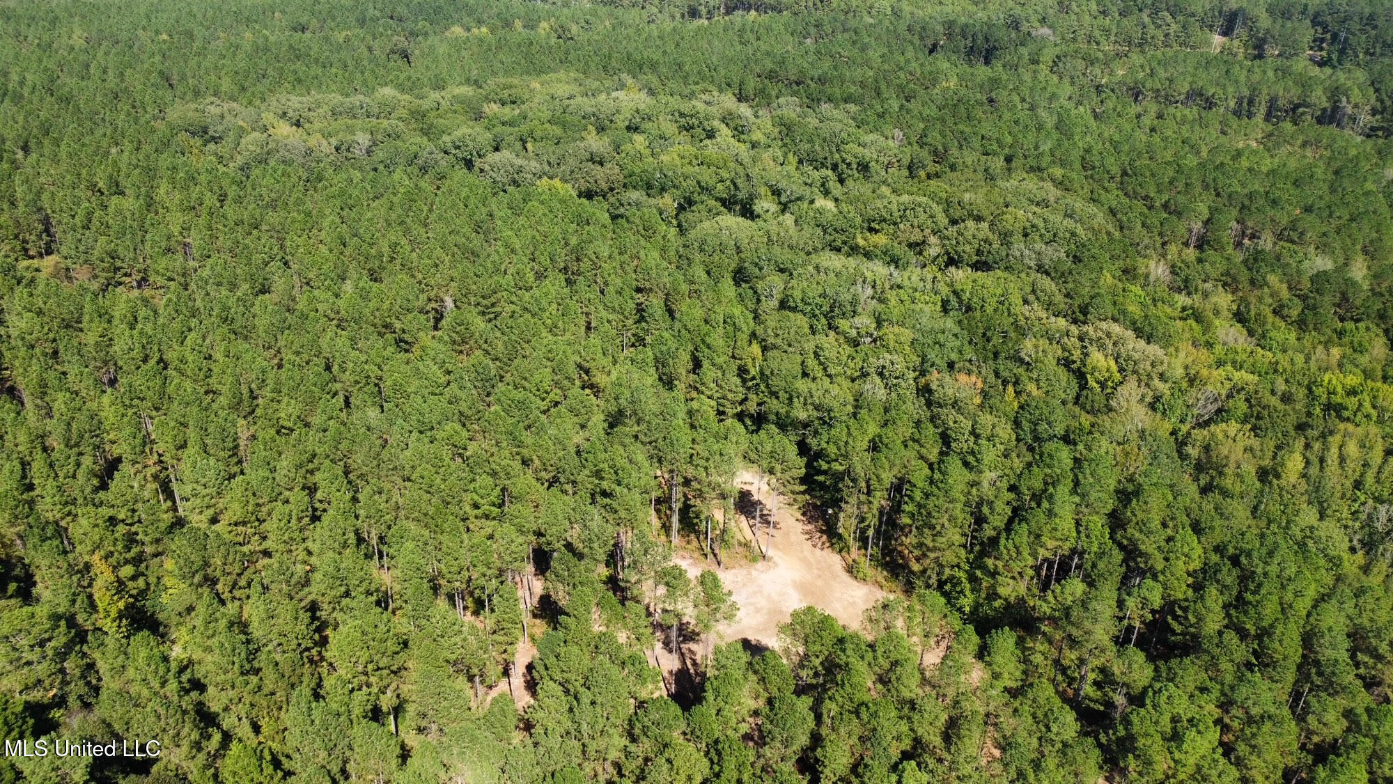 2 Highway 469 Property Photo 15