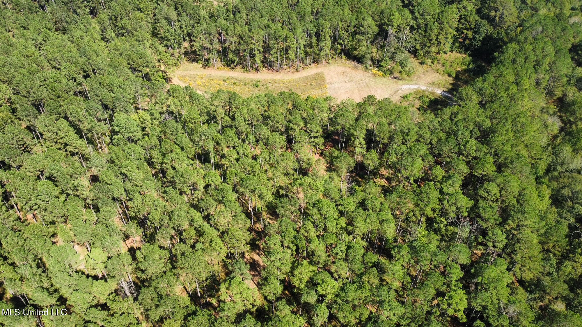 2 Highway 469 Property Photo 16