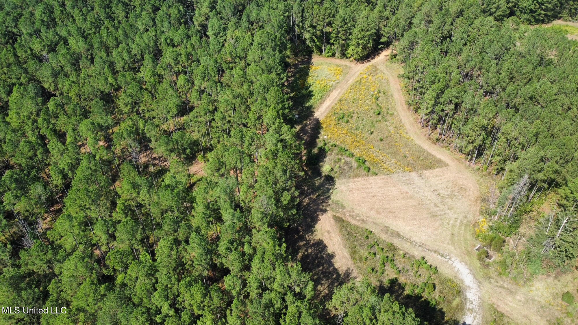 2 Highway 469 Property Photo 17