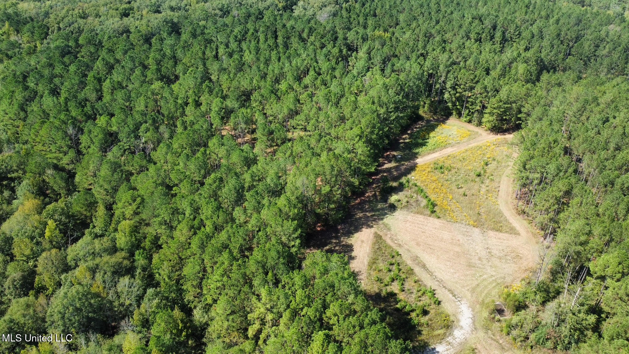 2 Highway 469 Property Photo 18